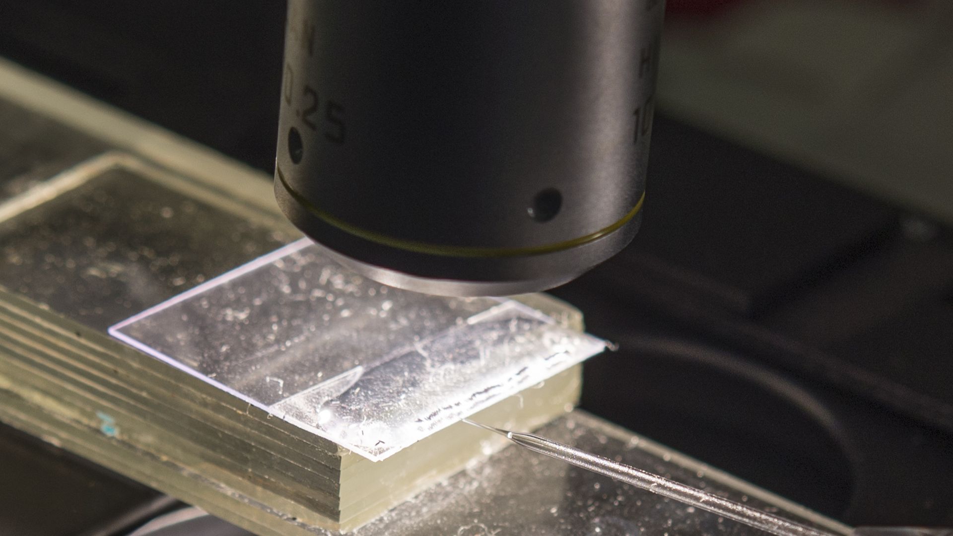 A microscope looking at DNA