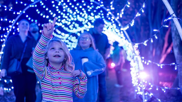 How to do Galaxy of Lights like a pro - Axios Huntsville
