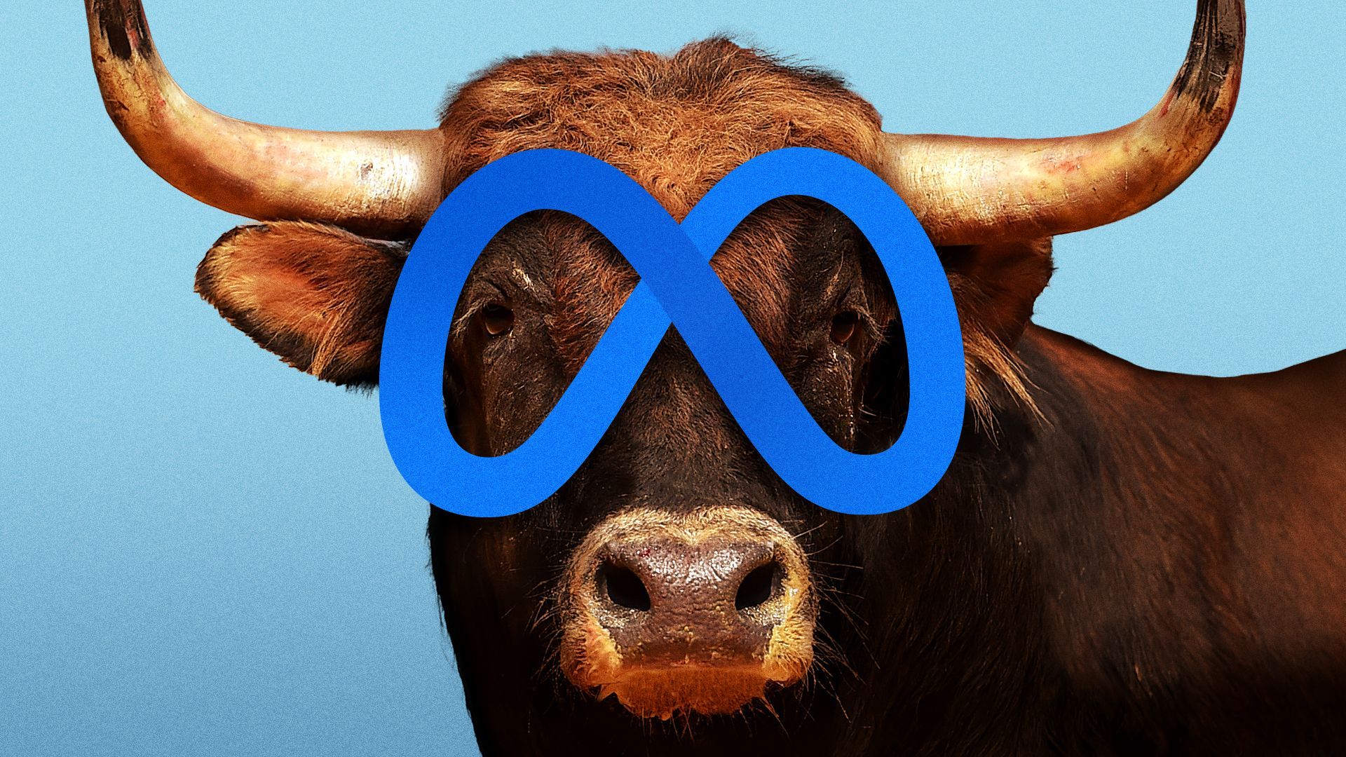 Illustration of a bull looking through Meta's logo.
