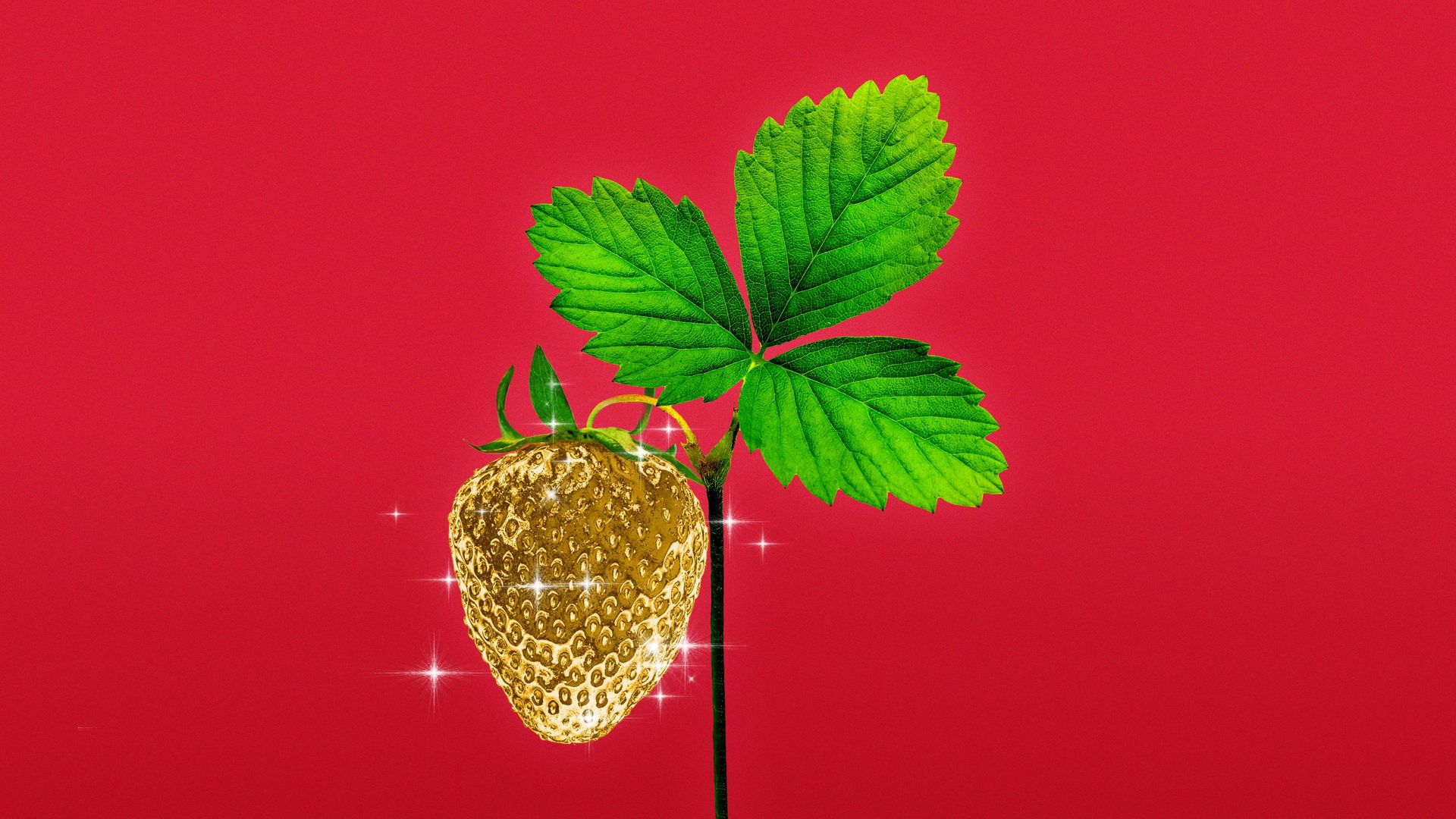 Illustration of a golden strawberry.