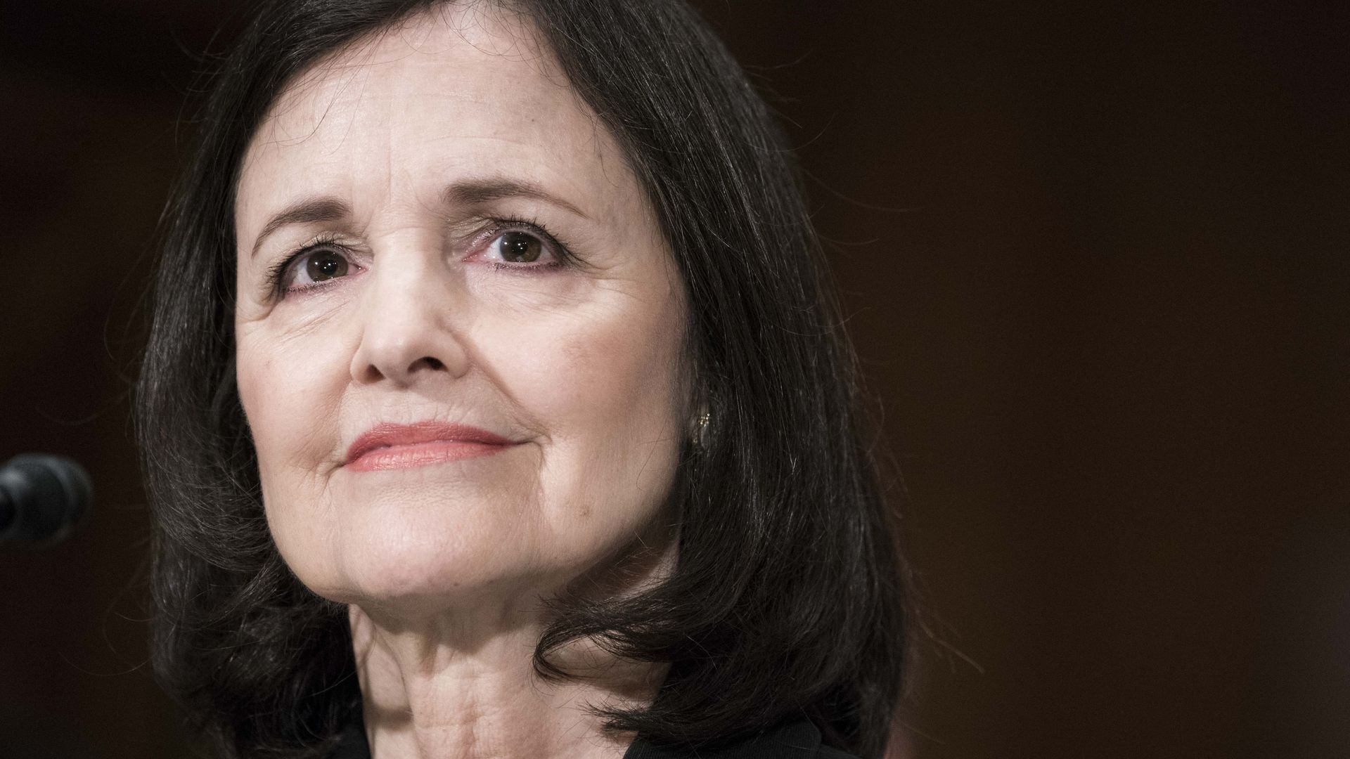 Judy Shelton testifies before the Senate Banking, Housing and Urban Affairs Committee during a hearing on their nomination