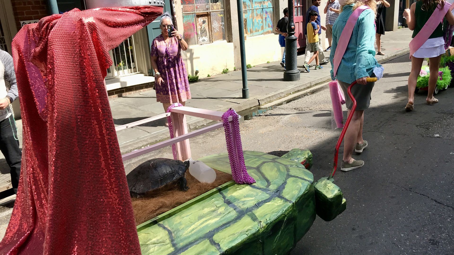 Photo shows a turtle float.
