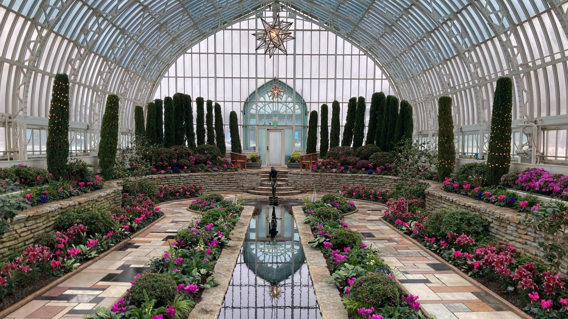 A glass conservatory with green and purple plants.