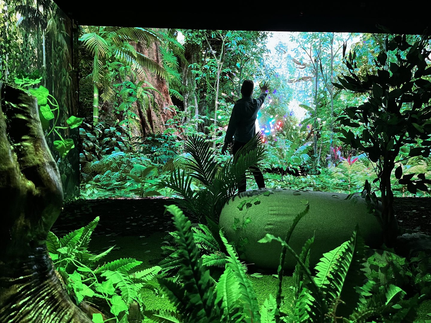 Ignite Broward art festival dazzles with lasers, digital beauty