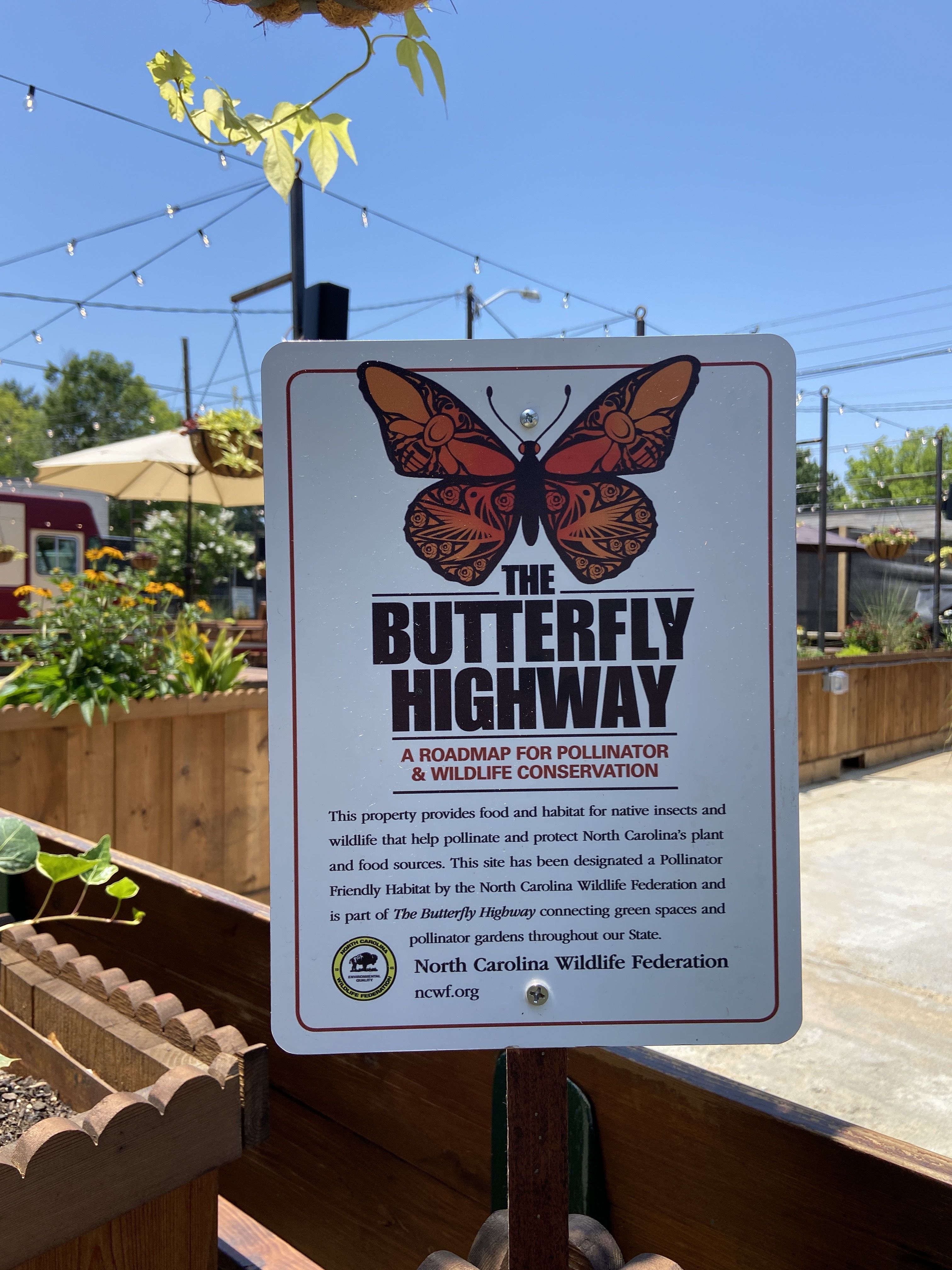 The Butterfly Highway sign at Tyber Creek.