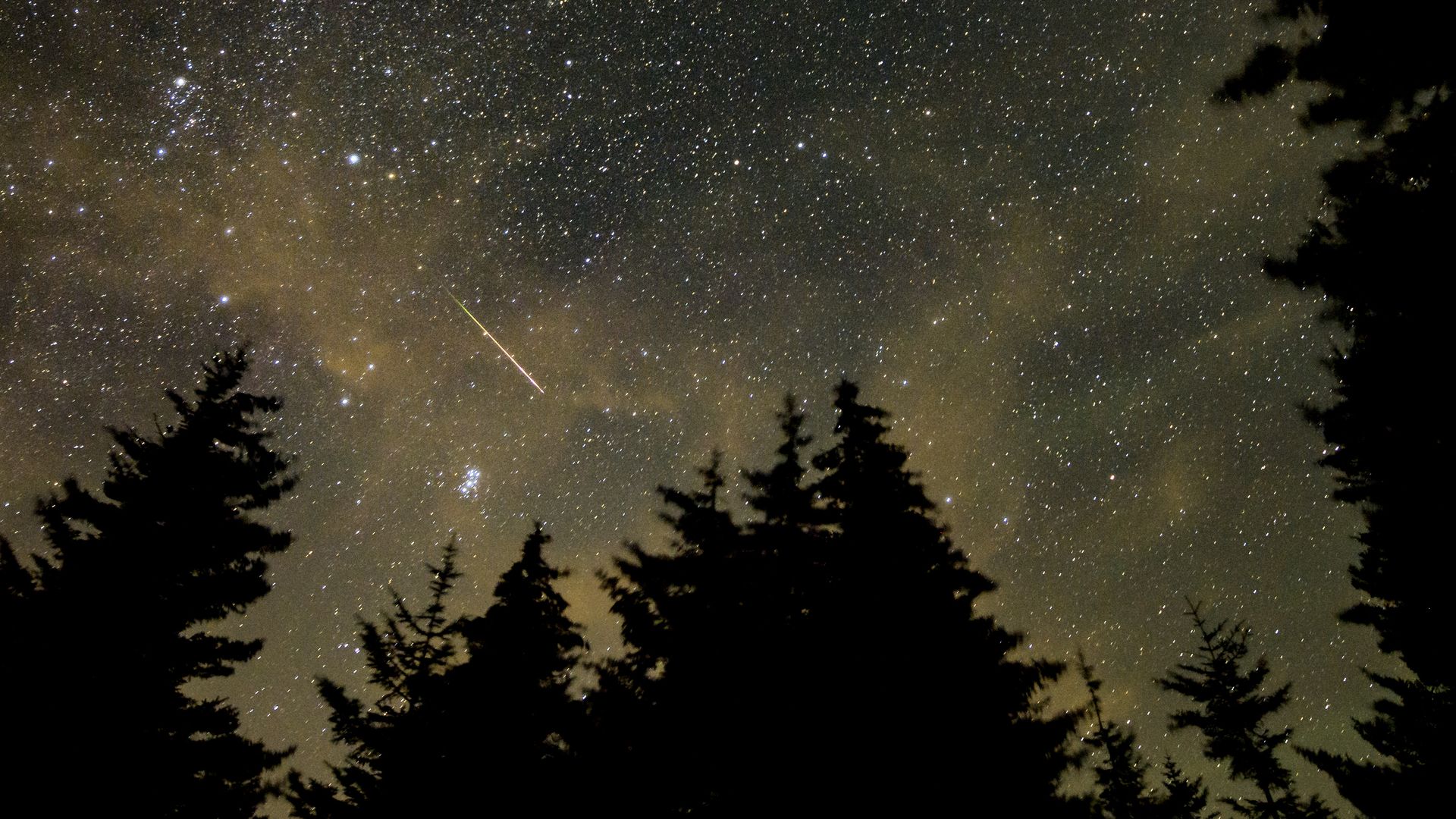 The Perseid meteor shower as seen from North America in 2021. 