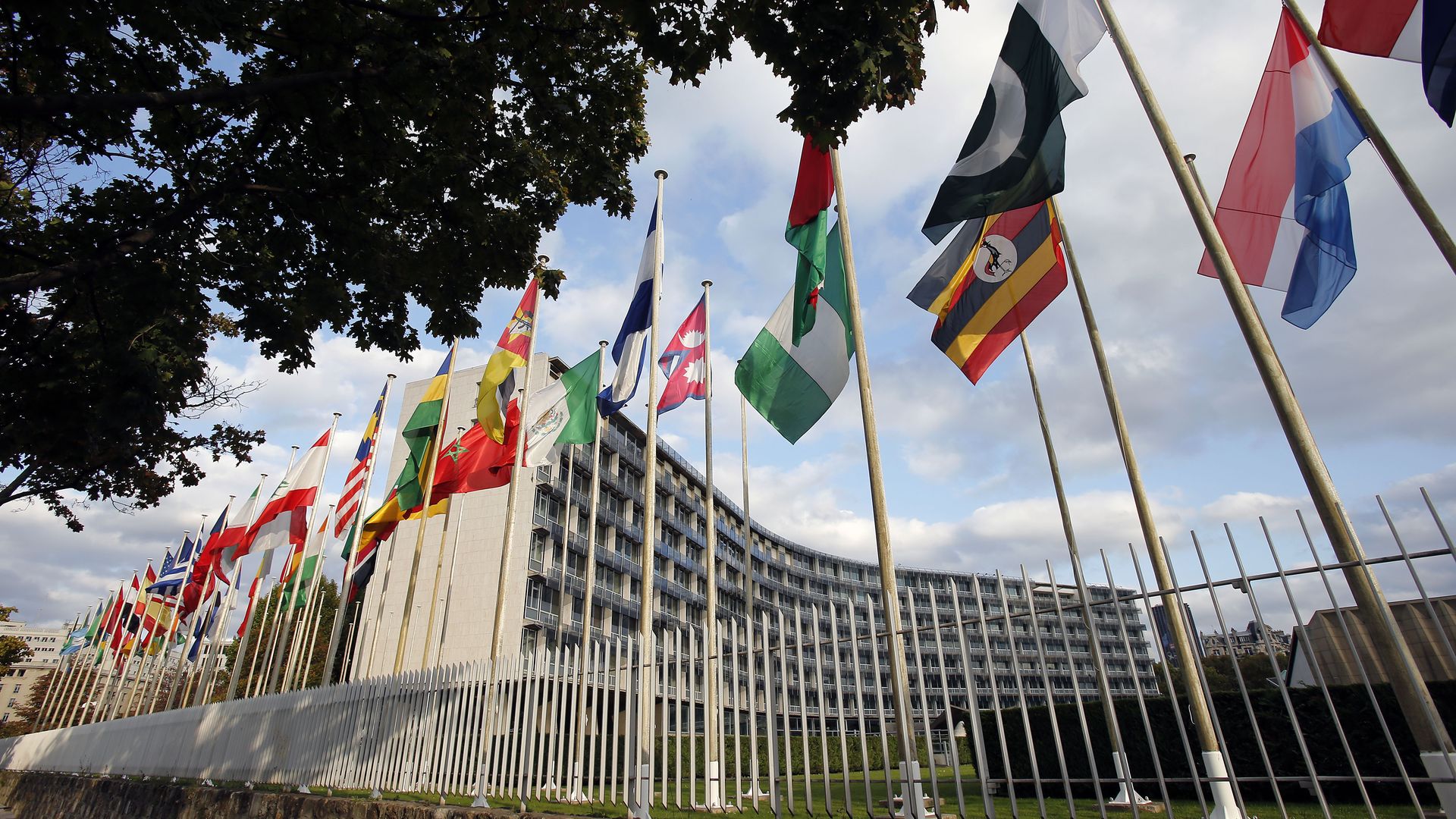 Several nation's flags stand in front of the UNESCO headquarters.