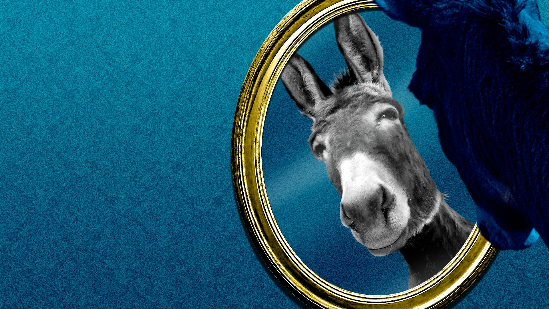 Illustration of a donkey looking into a mirror.