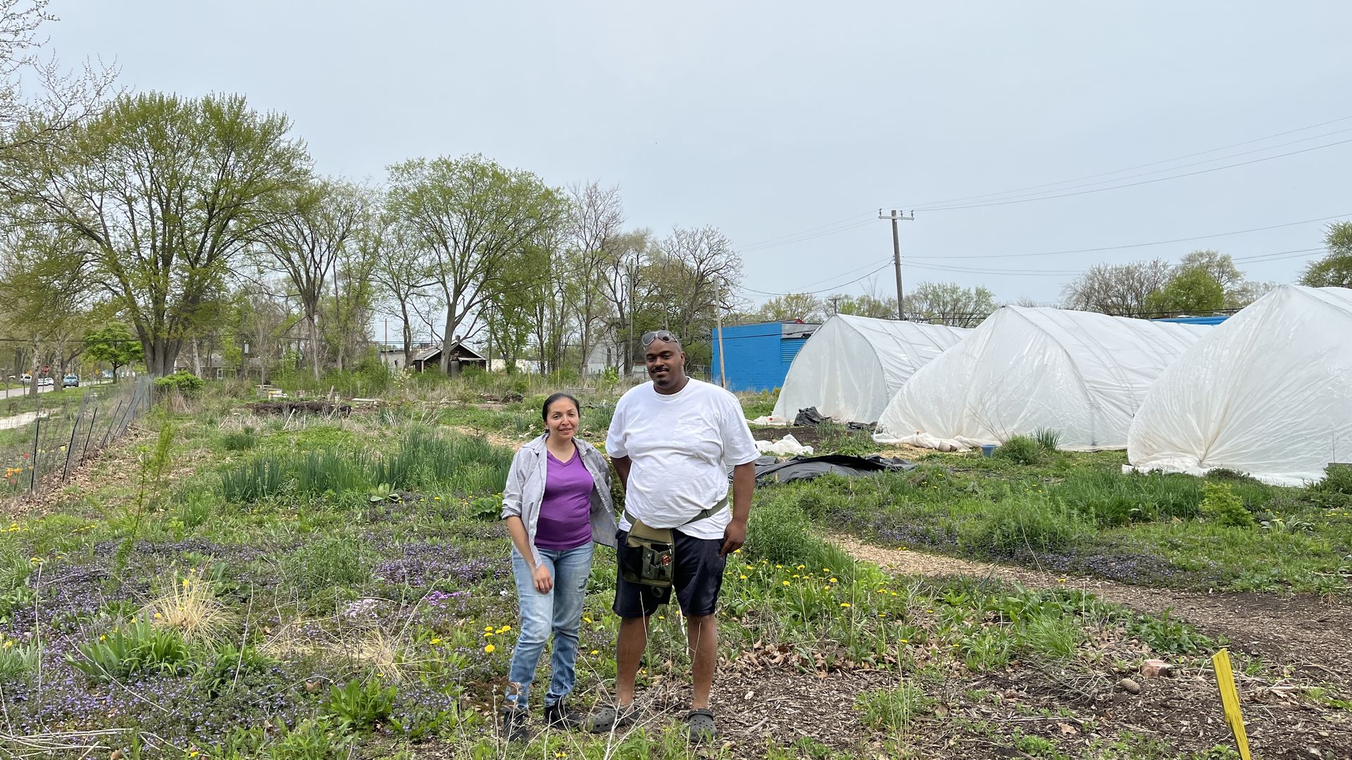 Zenaida Flores, left, and Tharmond Ligon leave their nonprofit's land in Detroit undisturbed to promote natural growth.