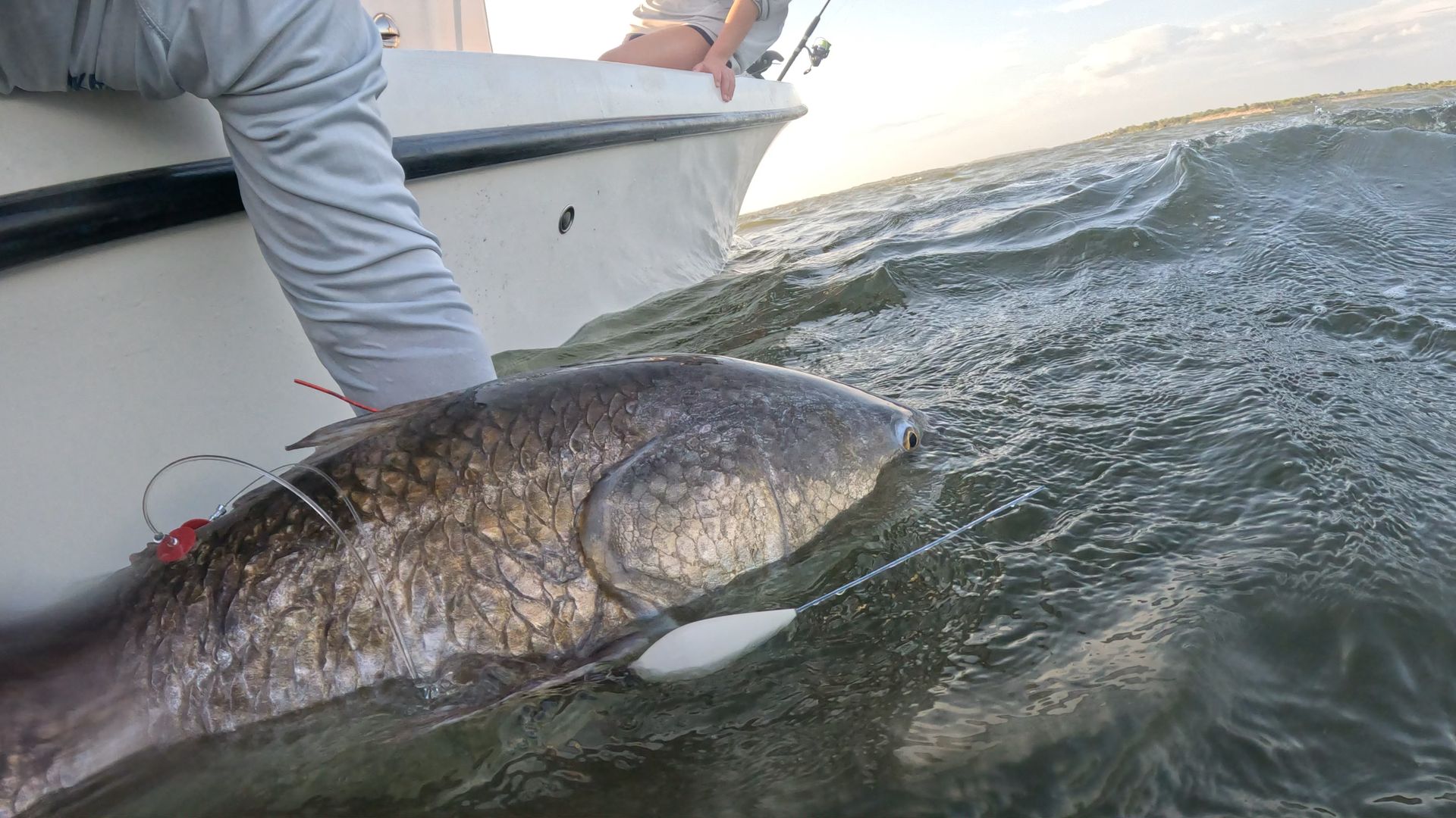 On a white boat, a large, scaled fish is snagged by a fishing line near the bow while a person in a light blue sleeve leans overboard; dark, choppy waves roll in under a pale sky.