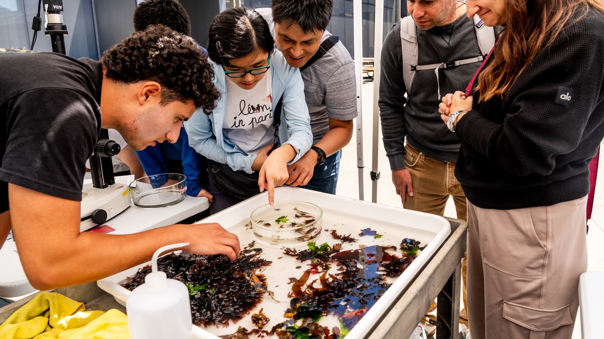 A diverse group of five adults examining marine life specimens in a water-filled tray outside the Bay Observatory, with one person pointing and another leaning over the table.