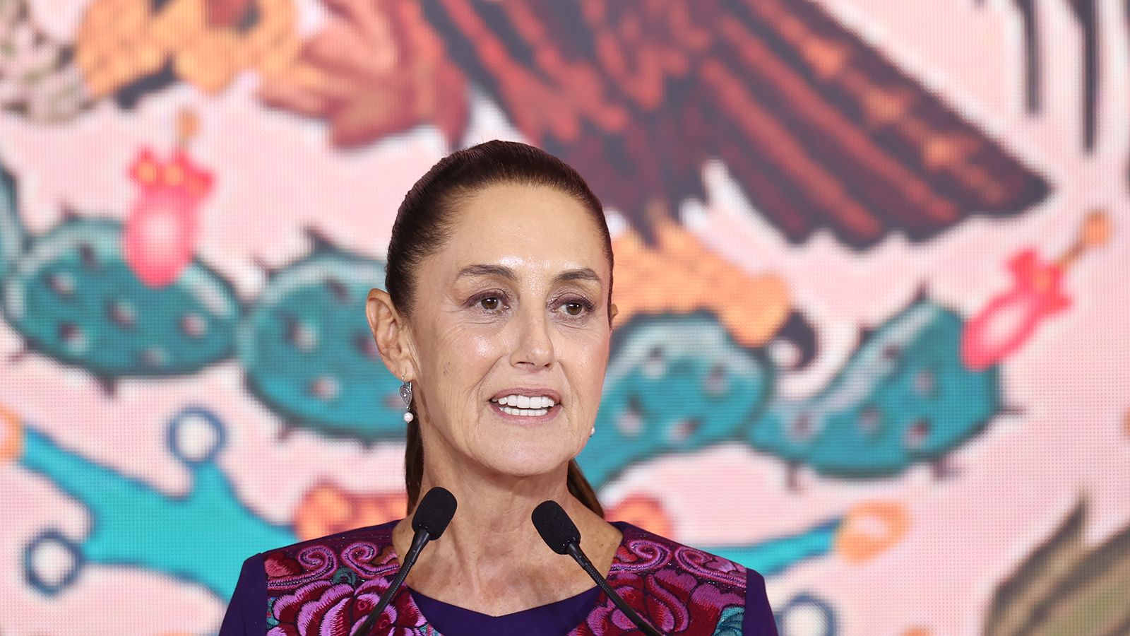 Mexico's first woman president expected to tackle violence against women
