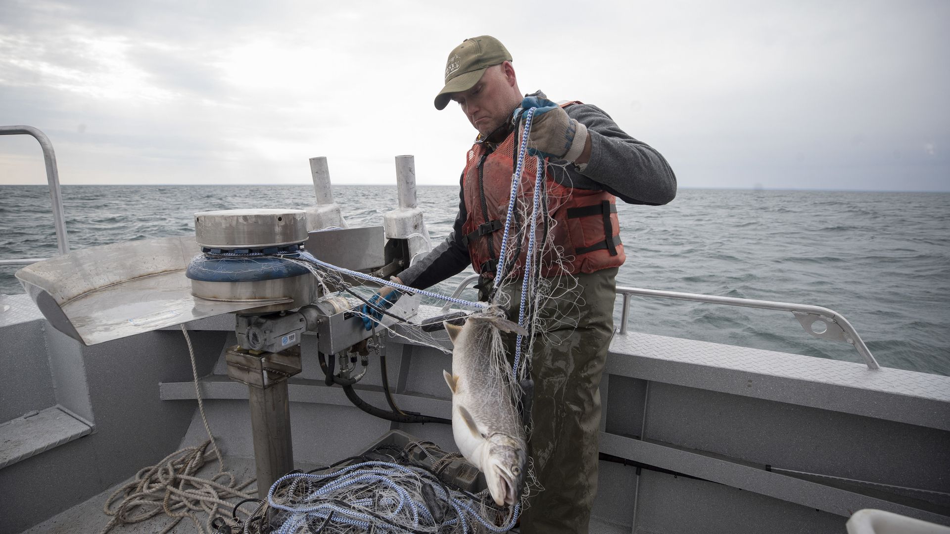 Fisherman on a small boat wearing a red life vest and green cap untangles blue rope as a large fish hangs from a net, with gray sea and an overcast sky behind.