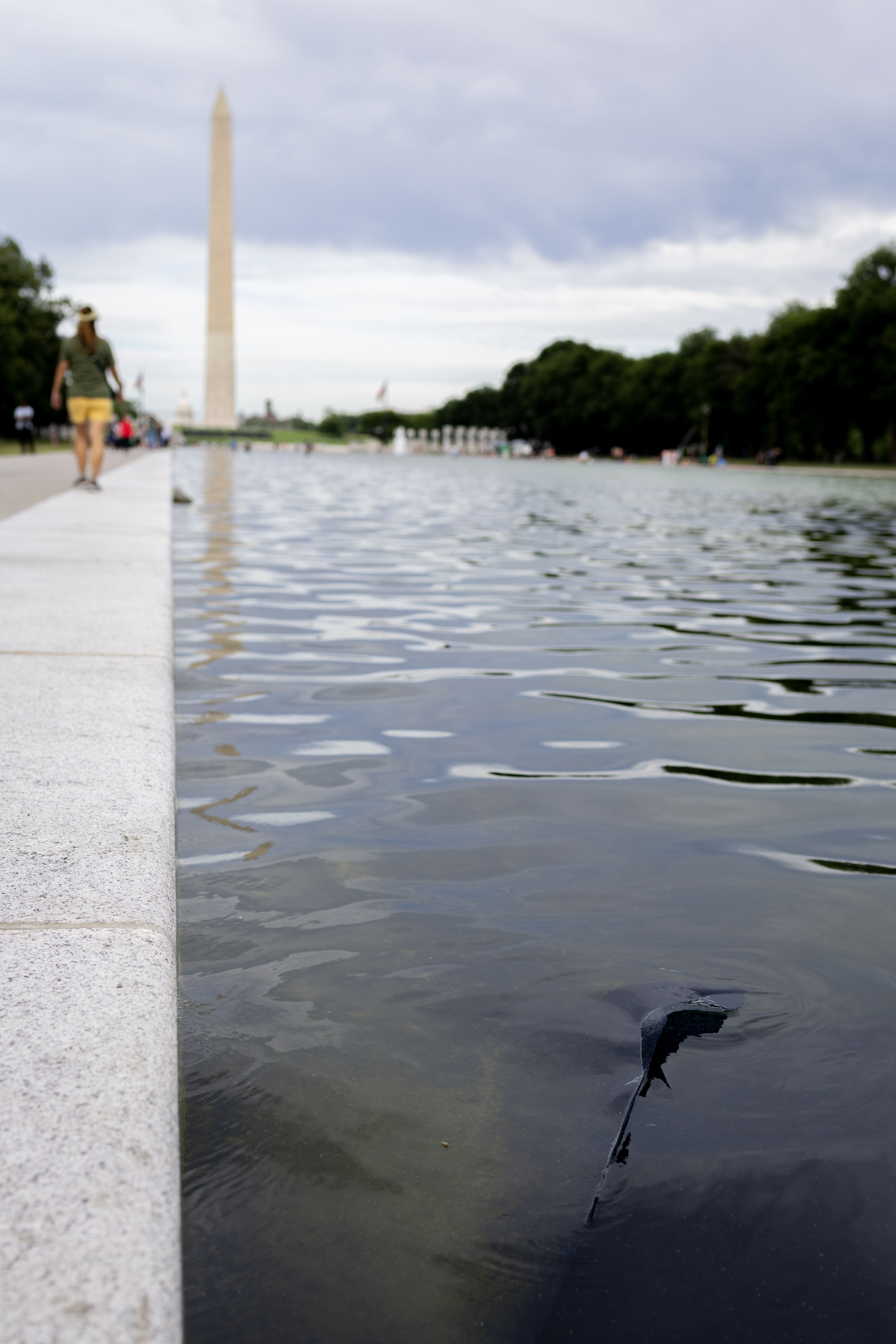 A strip of blue paint sealant appears to have peeled off the bottom of the Reflecting Pool, floating in the water