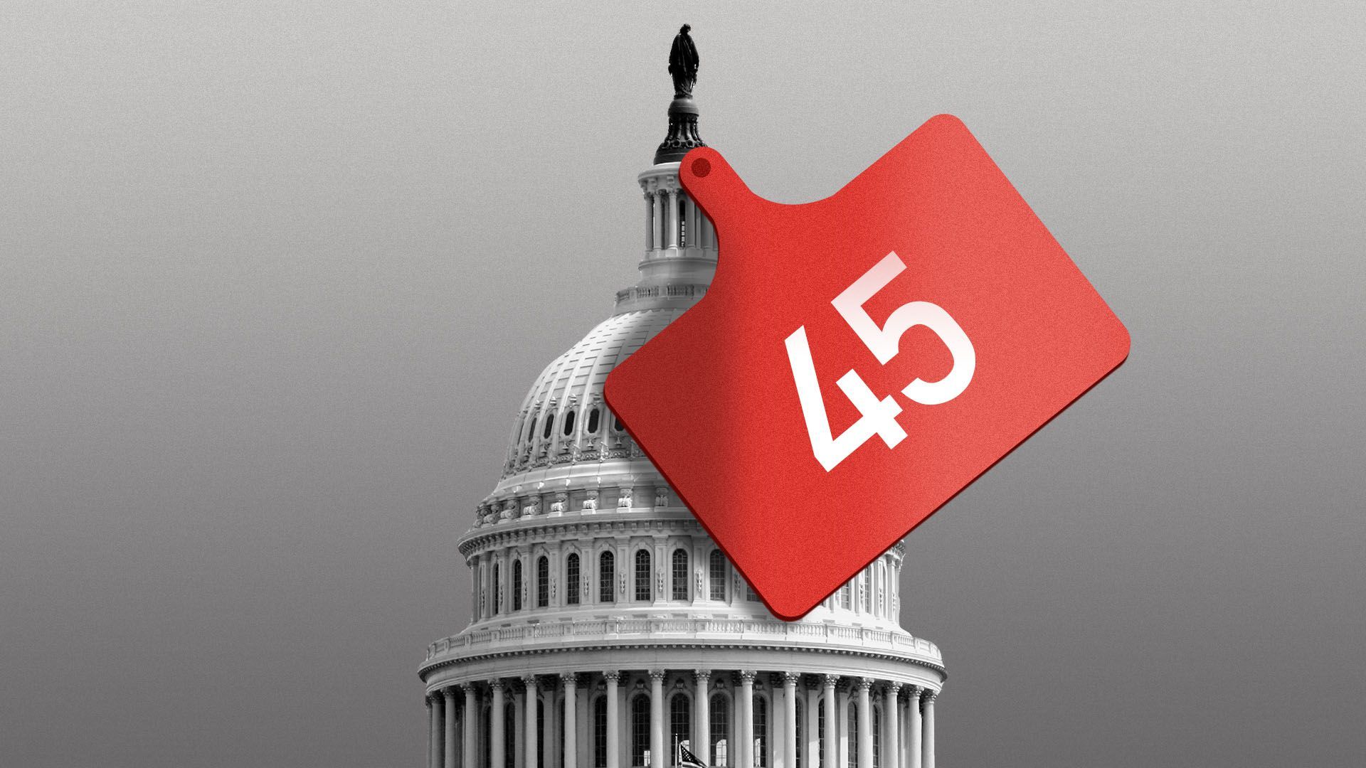 Illustration of the Capitol Dome with an earmark that reads "45" on it