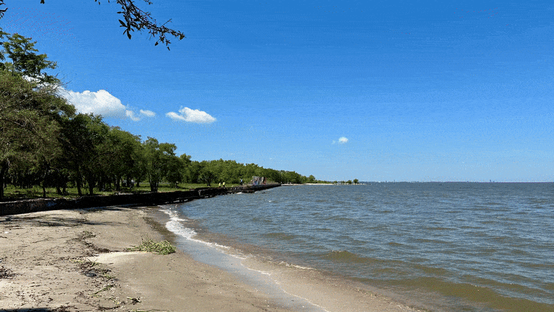Sandy beach with gentle waves, green trees lining the shore, and a bright blue sky with a few white clouds on a sunny day.