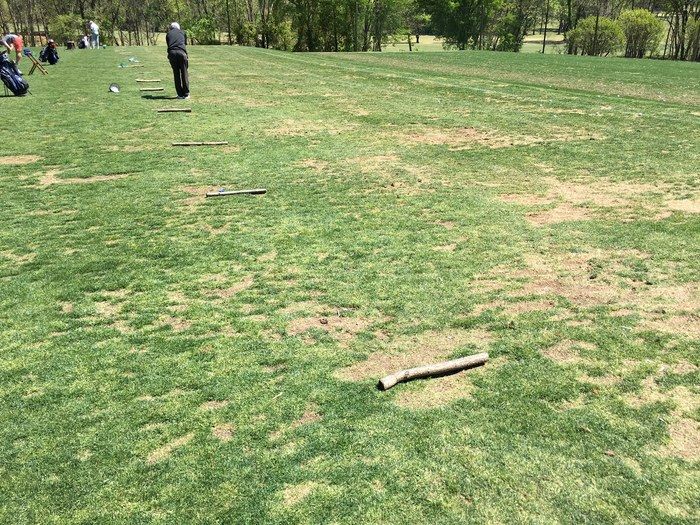 grass at south end charlotte driving range