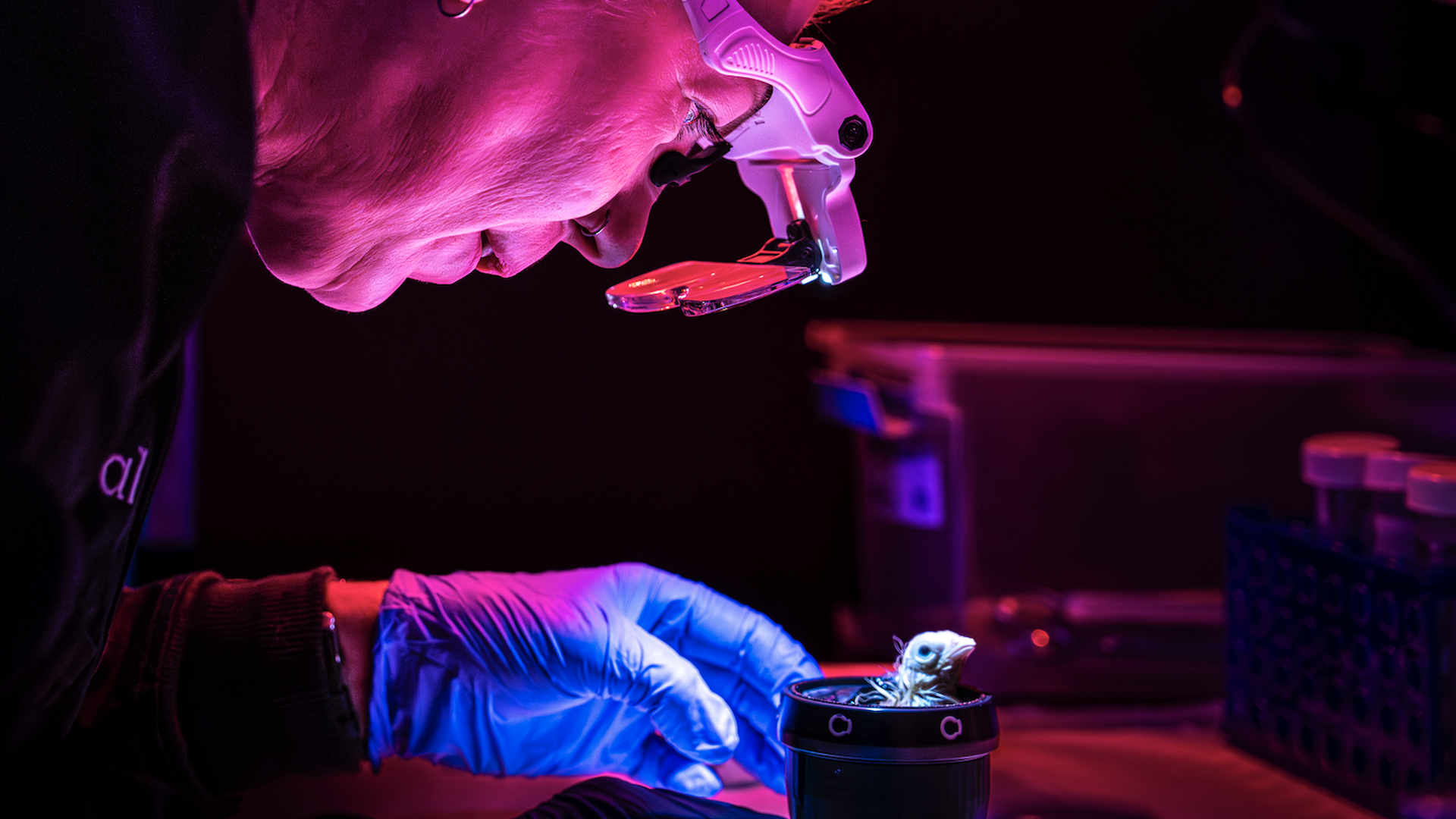 A woman hovers over a newly hatched chick as it emerges out of a black artificial egg