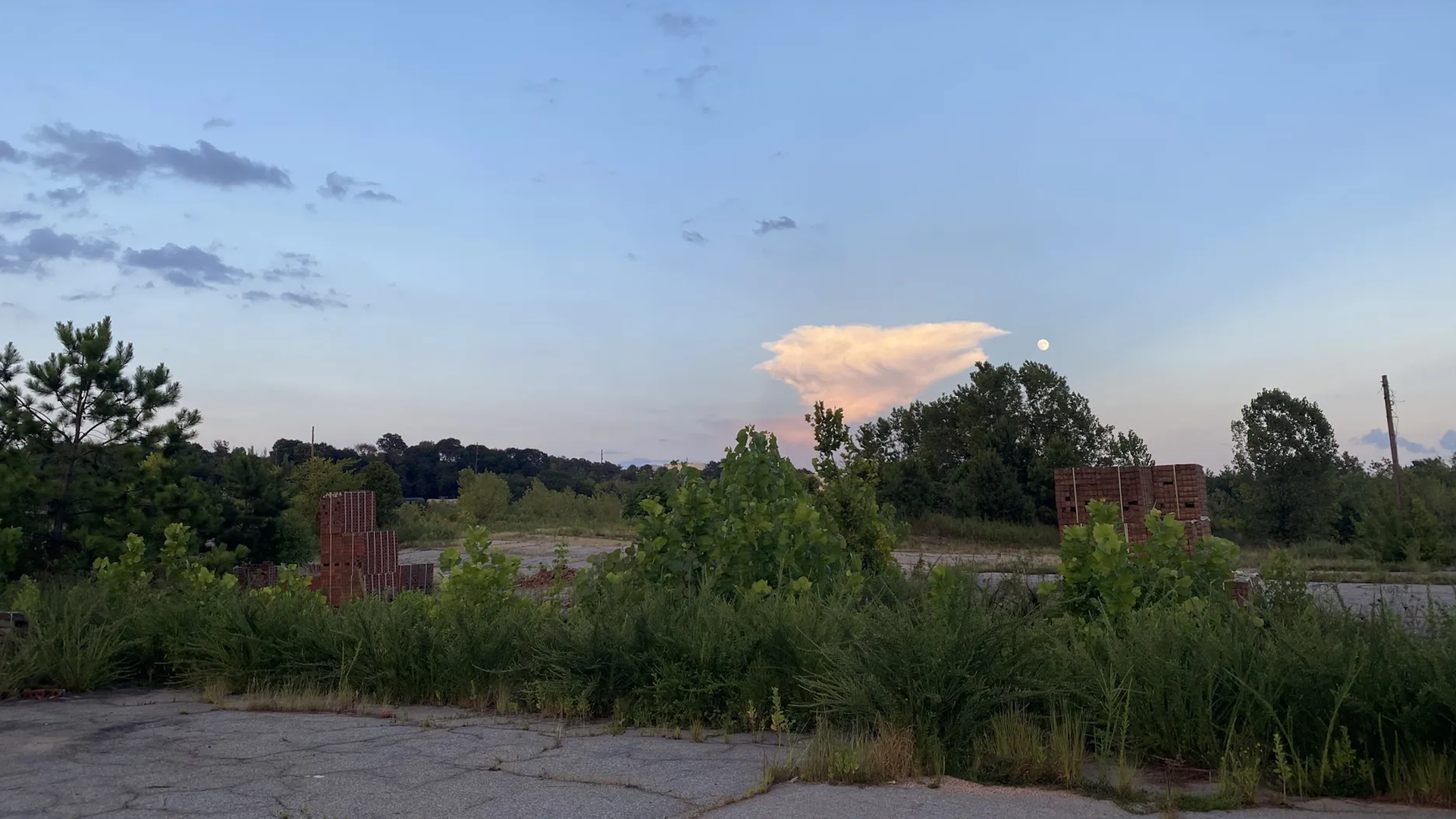 Overgrown vegetation and stacks of red bricks on cracked pavement under a blue sky with scattered clouds and a large pinkish cloud near the horizon at sunset.