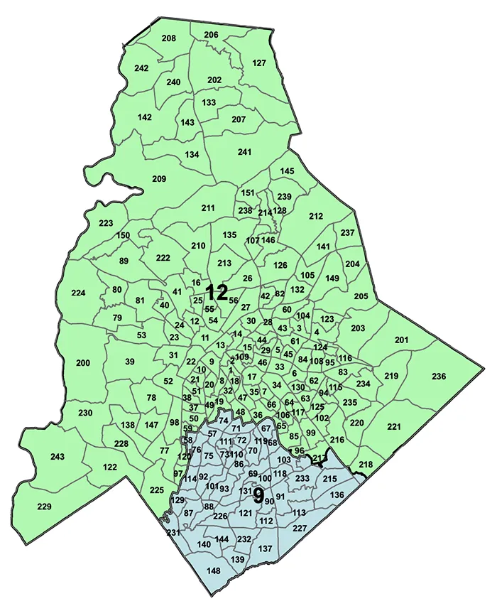 2020 congressional races