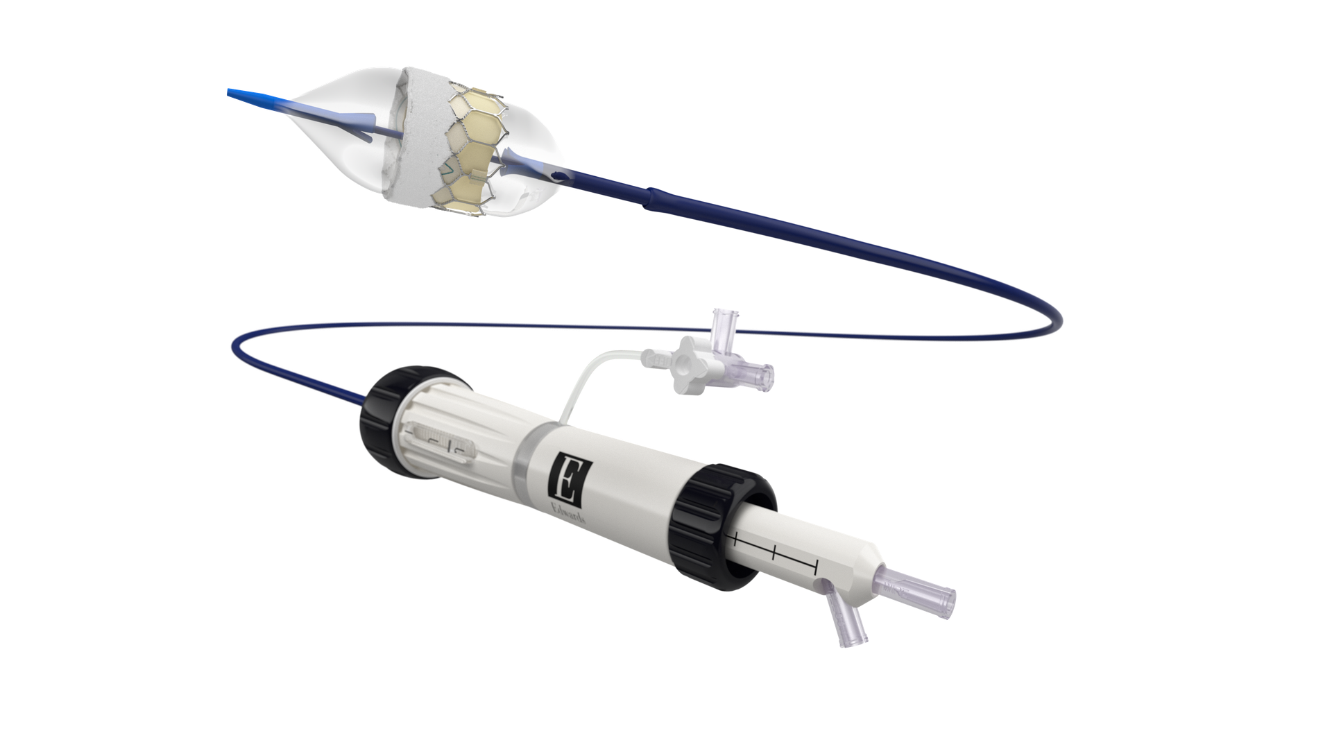 An image of a Sapien 3 heart valve attached to a thin balloon delivery system.