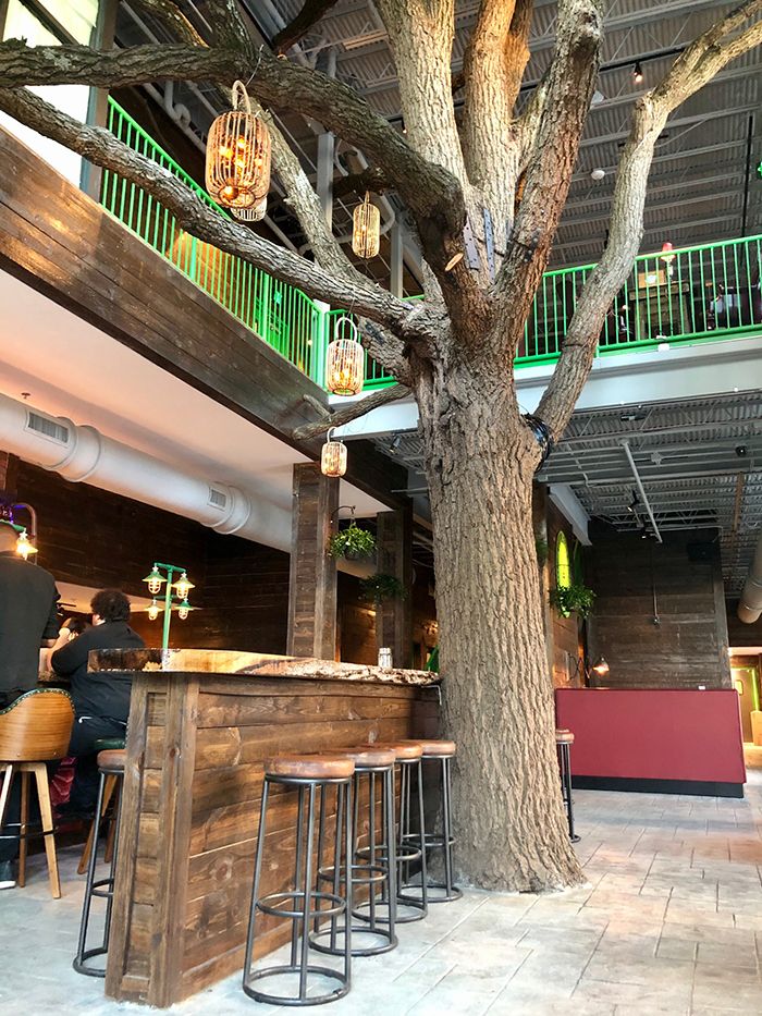 Everything you need to know about Charlotte Beer Garden Axios Charlotte