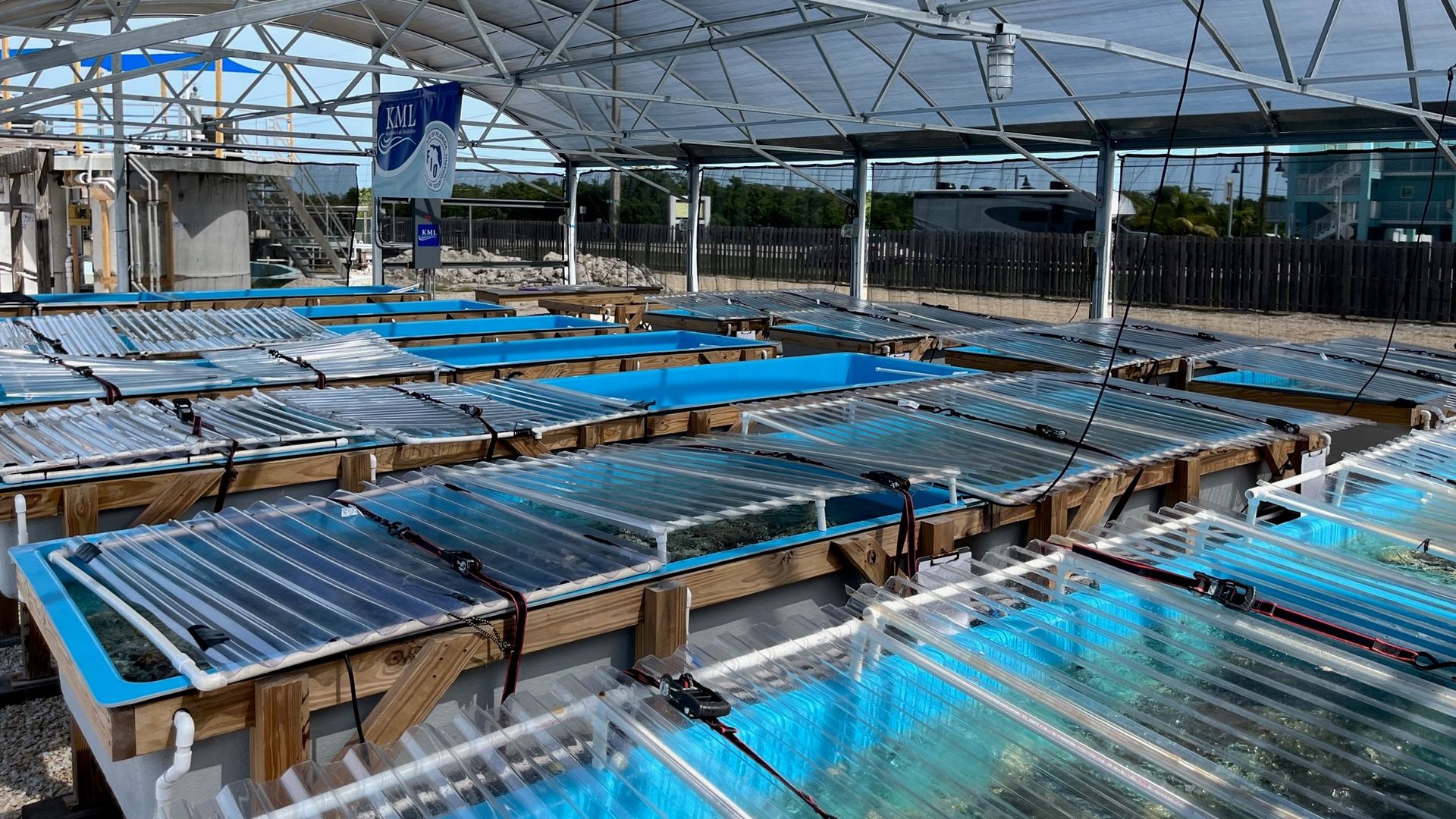 Temperature-controlled seawater systems at the Keys Marine Laboratory.