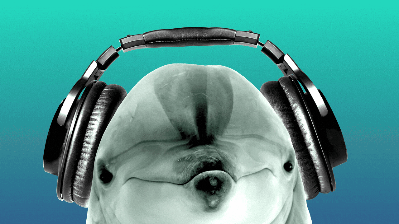 Animated illustration of a dolphin wearing headphones bobbing its head side to side.