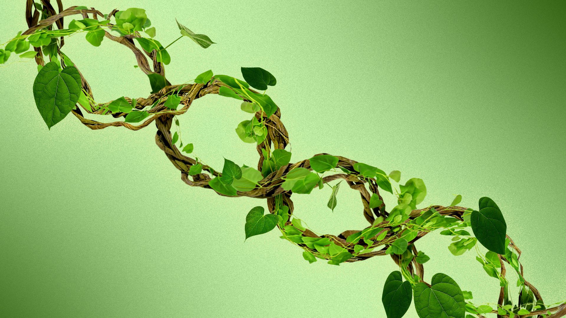 Illustration of vines in the shape of a DNA strand. 