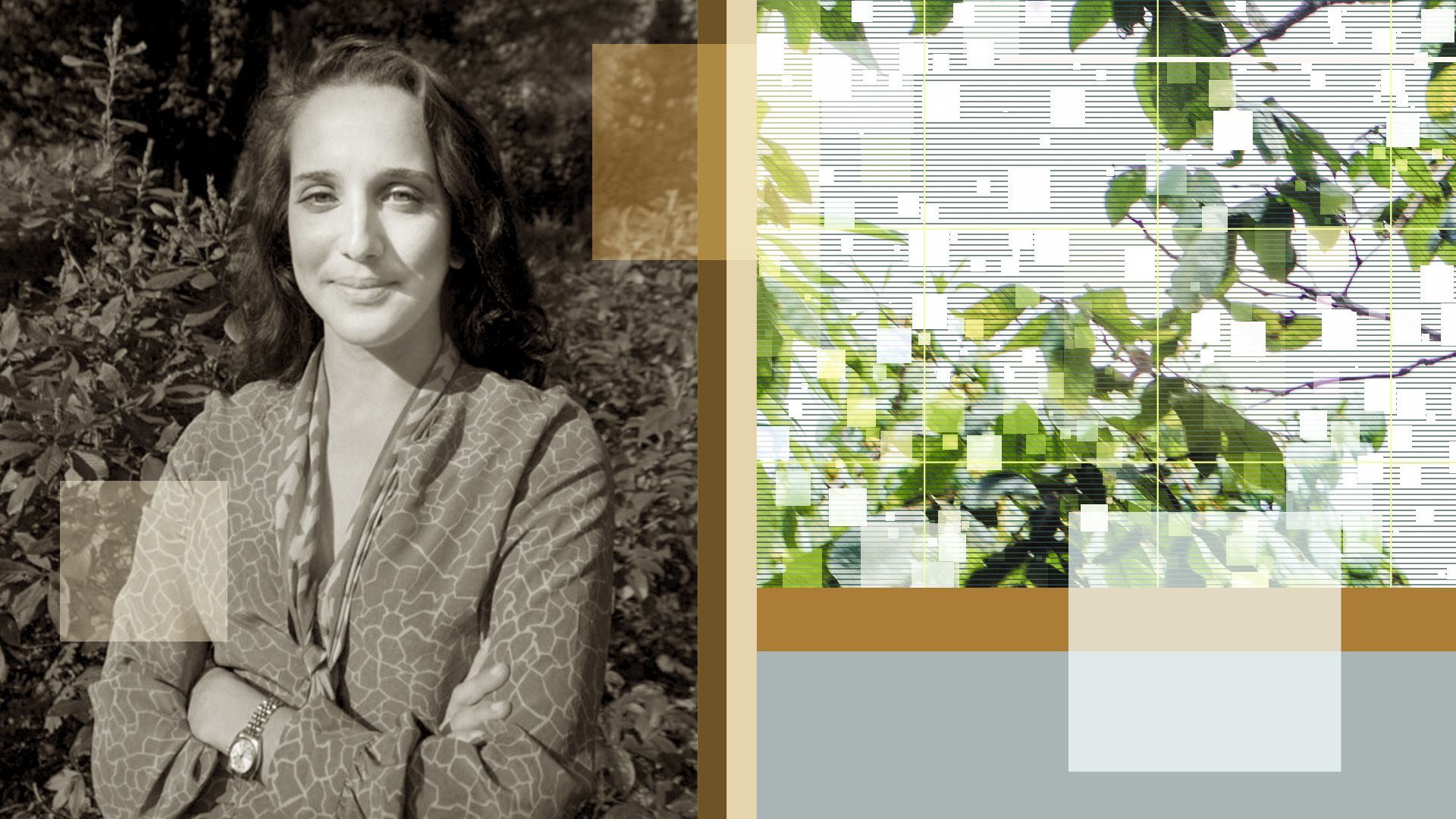 Photo Illustration of Clea Kolster with abstract shapes.