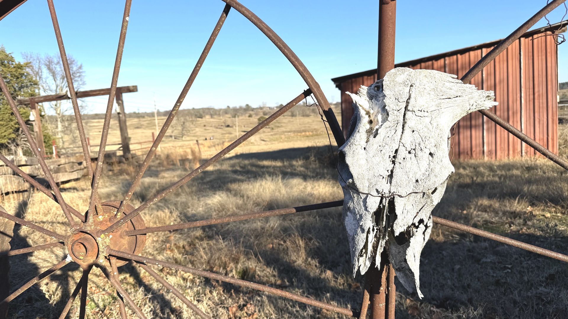 A photo of farm land in the background and a fence made of an iron wagon wheel and a cow's skull in the foreground.