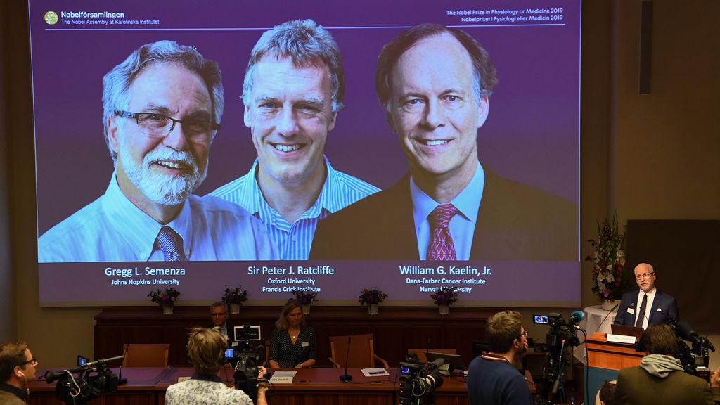 3 scientists earn Nobel Prize in medicine for studying how cells react