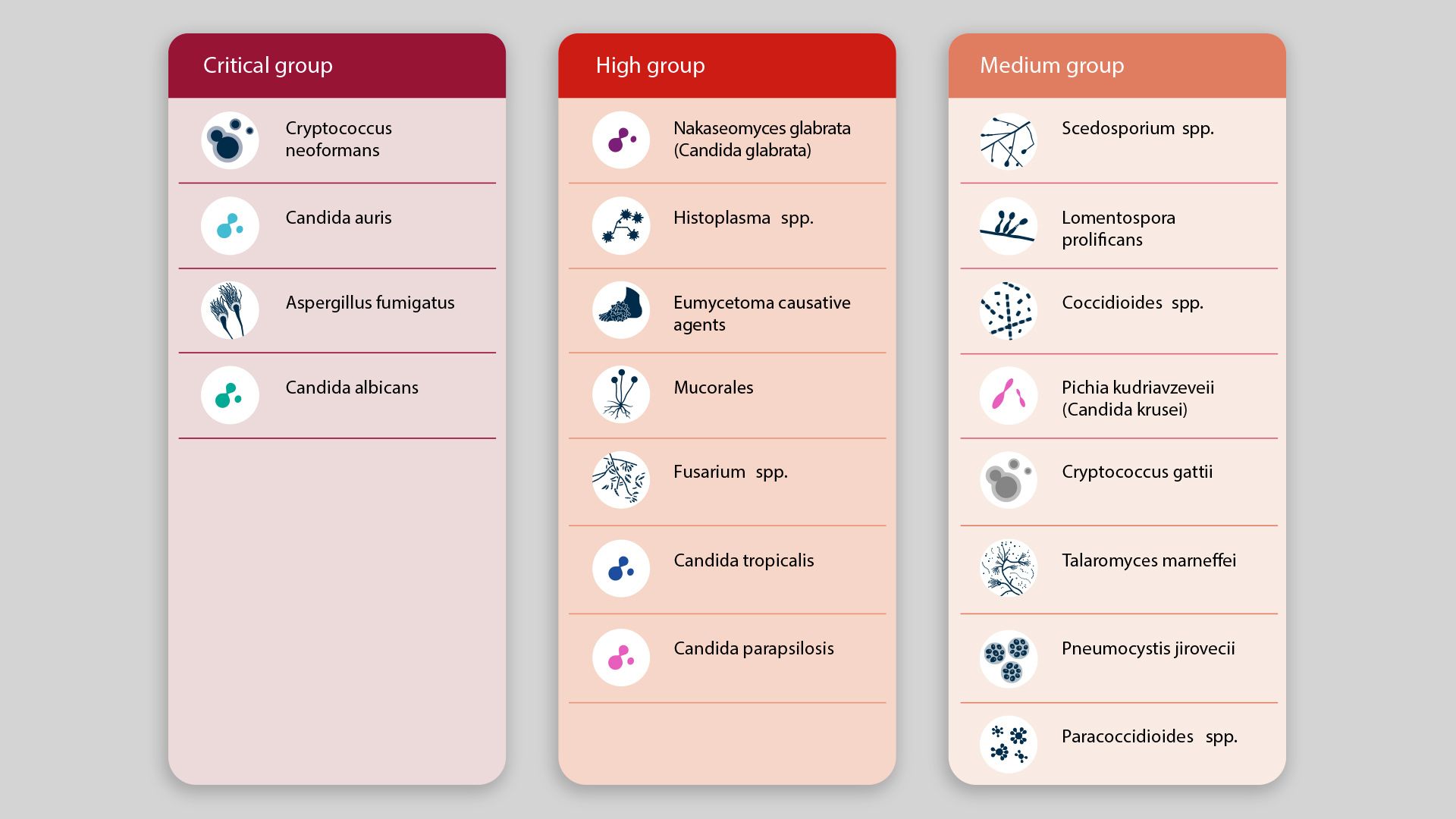 Chart of fungi categorized by priority