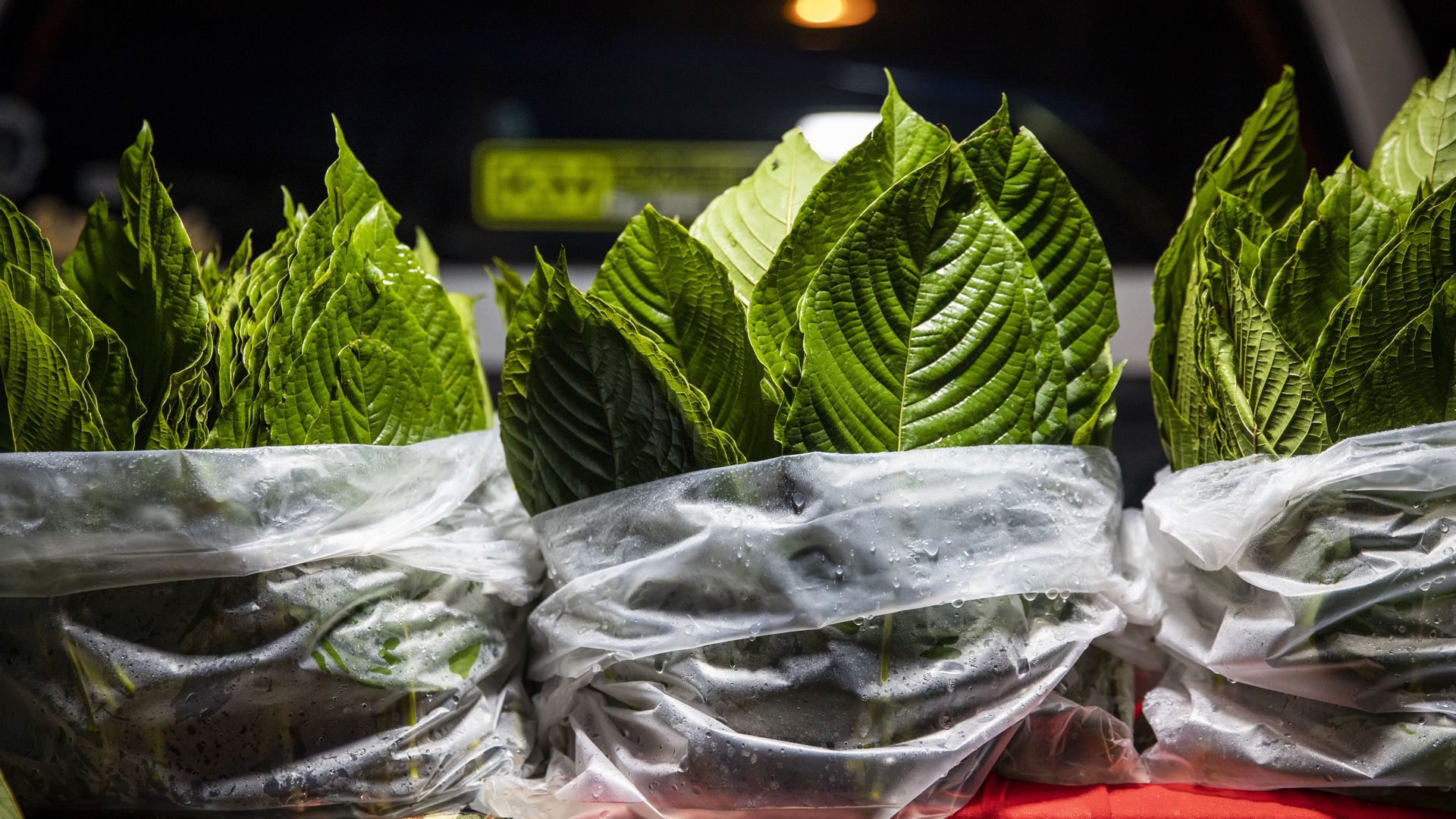 Kratom leaves on sale at a market in Bangkok, Thailand. Photo: Lauren DeCicca/Getty Images