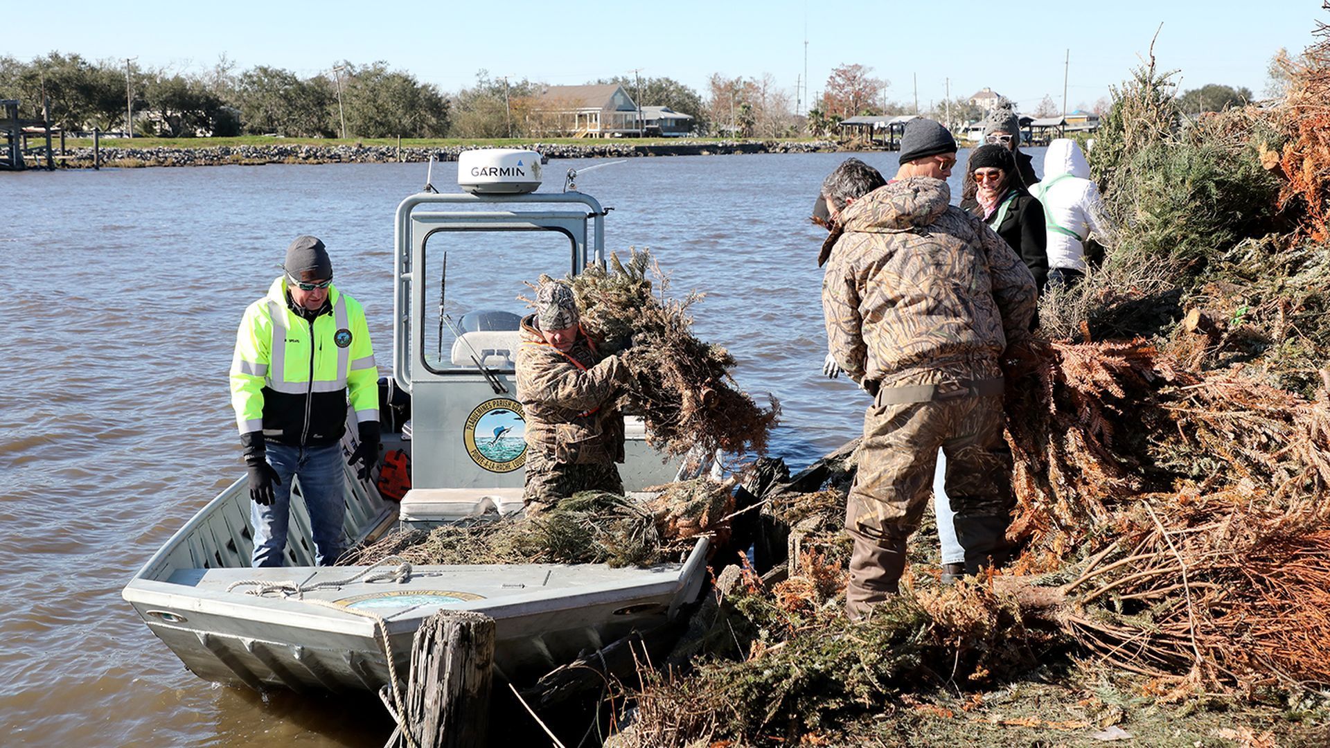Several people in winter clothing unloading old Christmas trees from a boat onto a riverbank on a sunny day with houses and trees in the background.