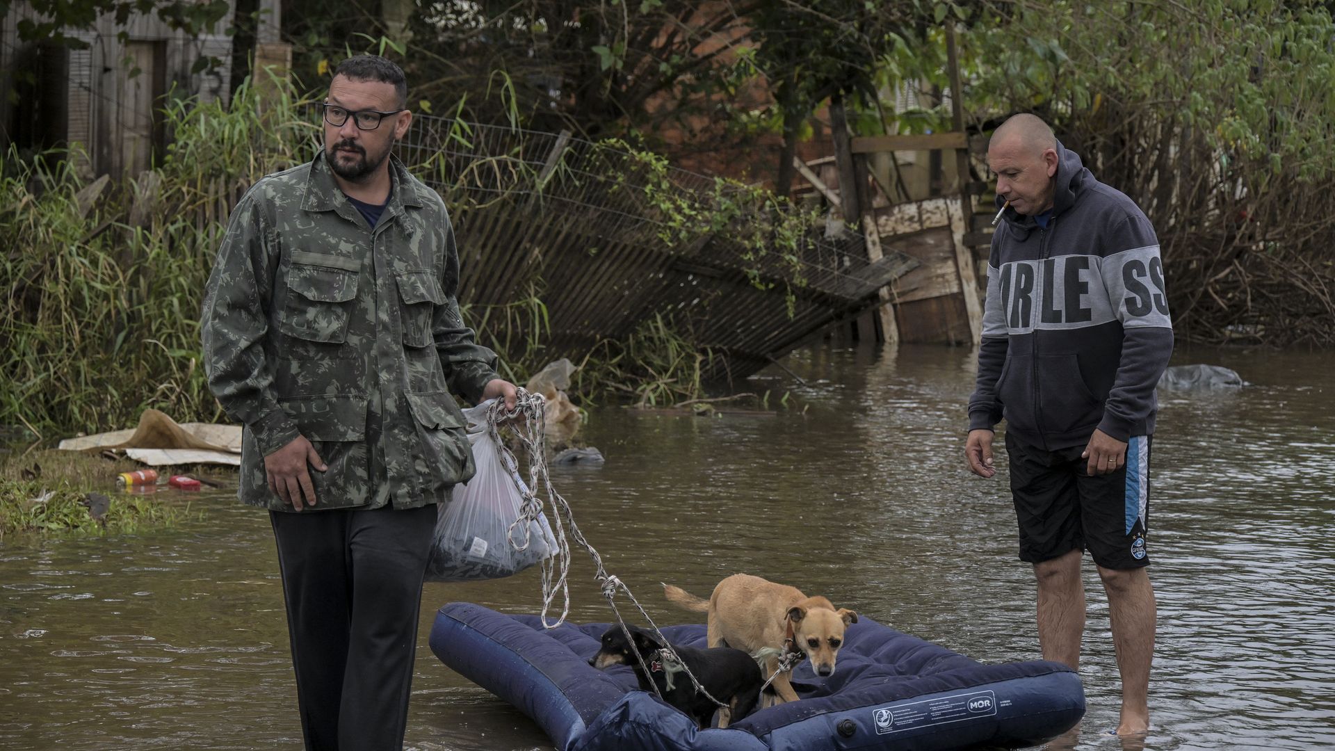 Two men walking among floodwaters transport two dogs on a blue inflatable mattress 