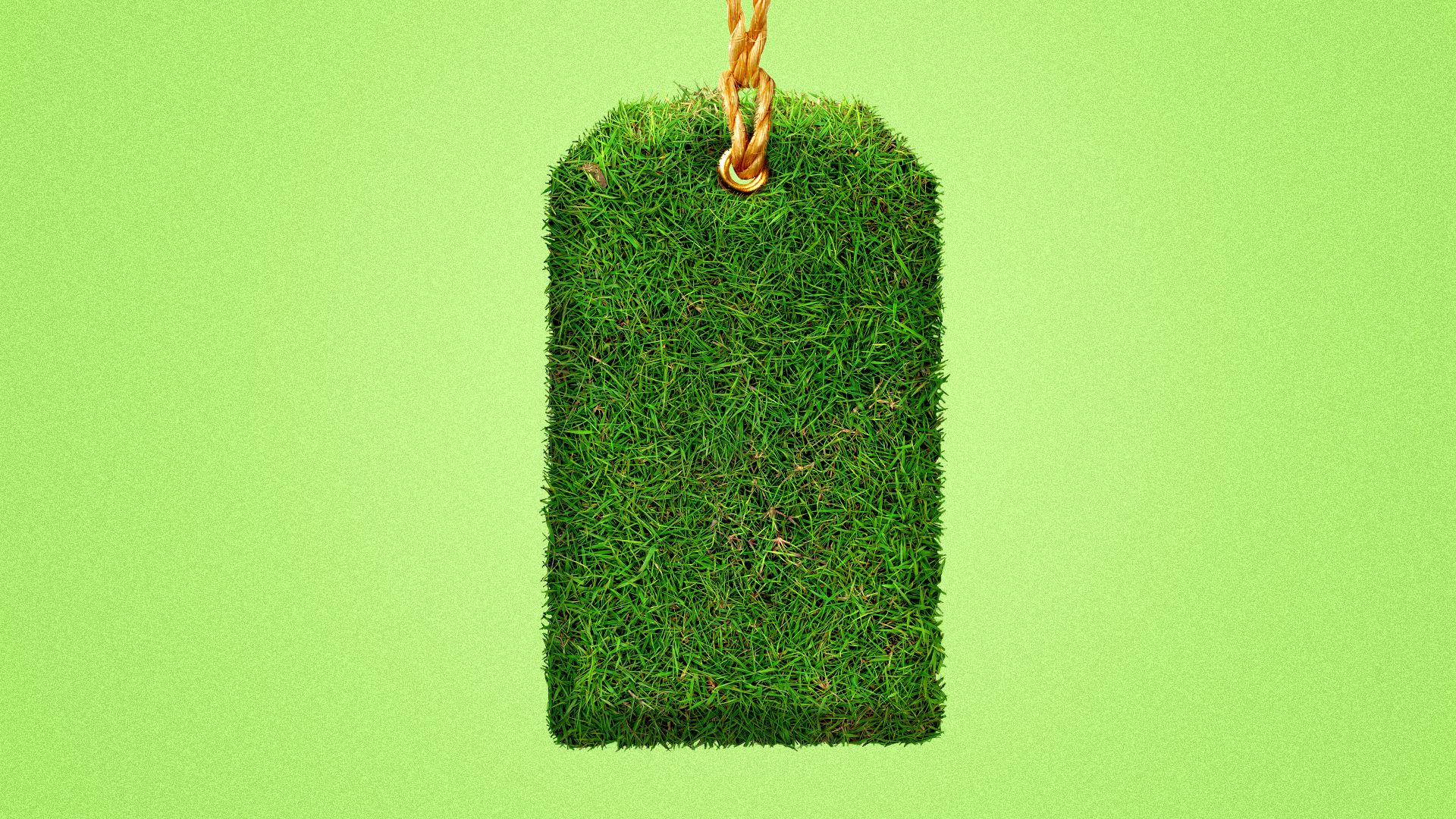 an illustration of a price tag made out of grass 