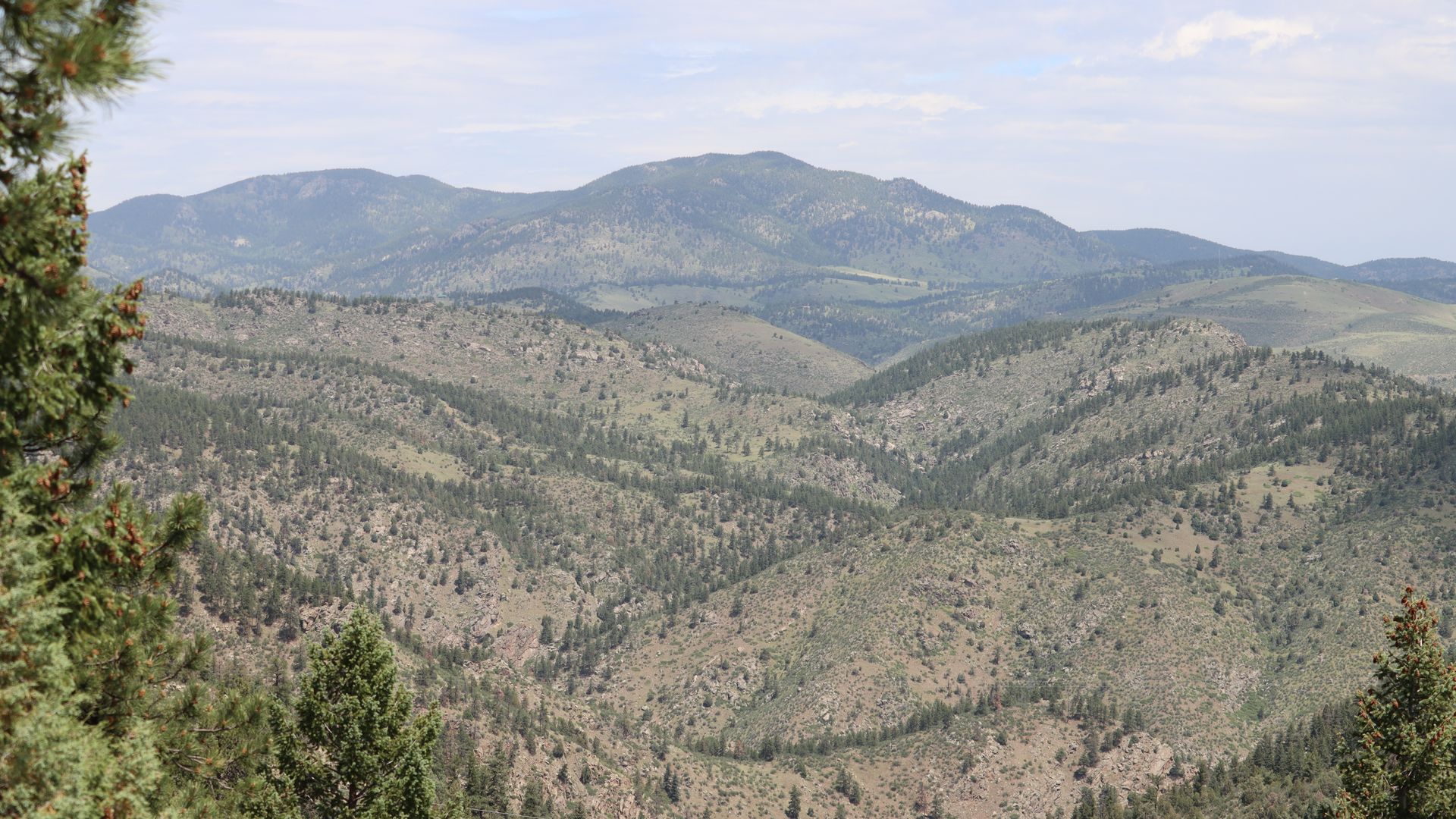 Genesee Park in Golden. Photo: Esteban L. Hernandez/Axios