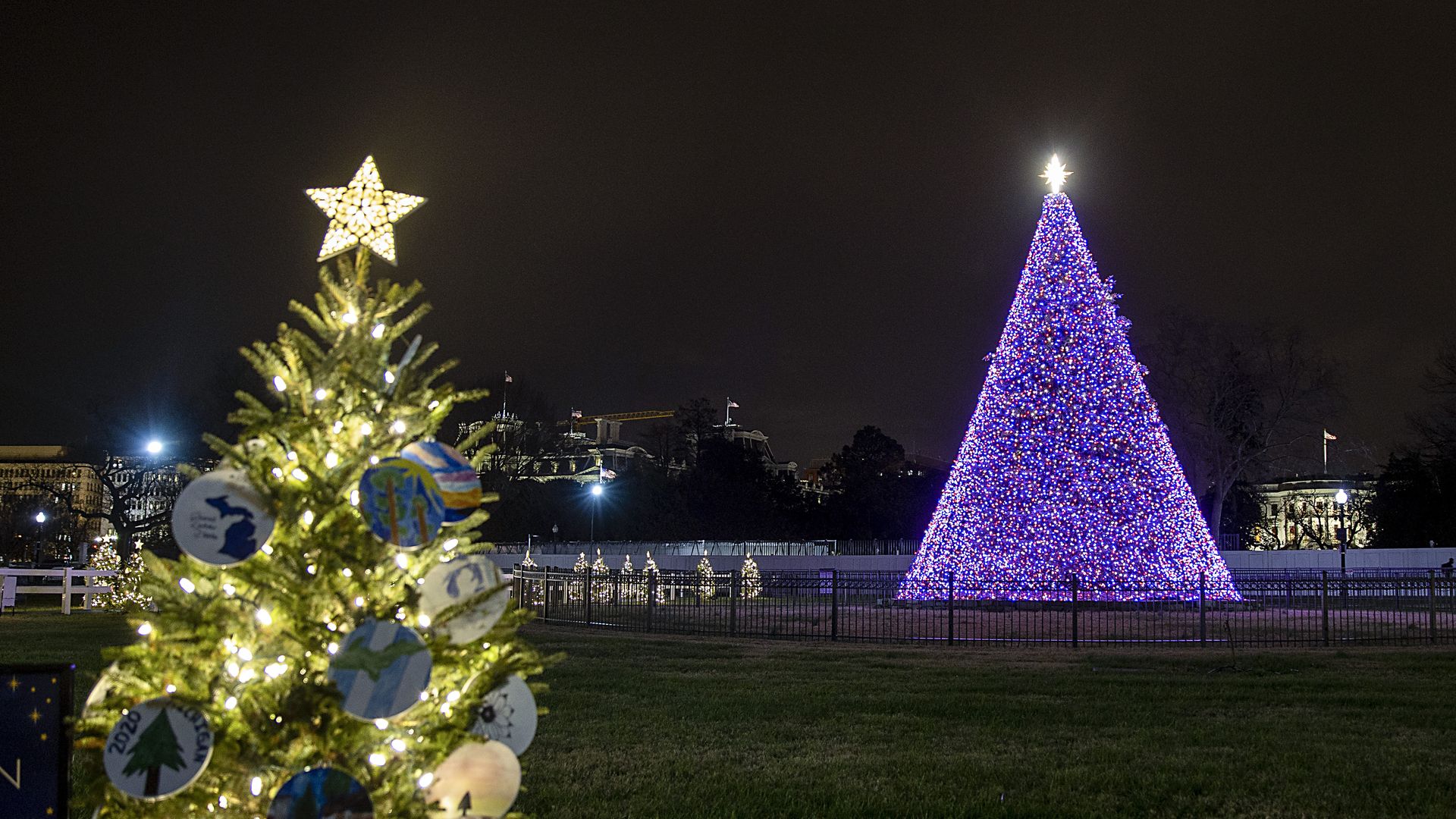 The National Christmas tree stands illuminated with the White House in the background.