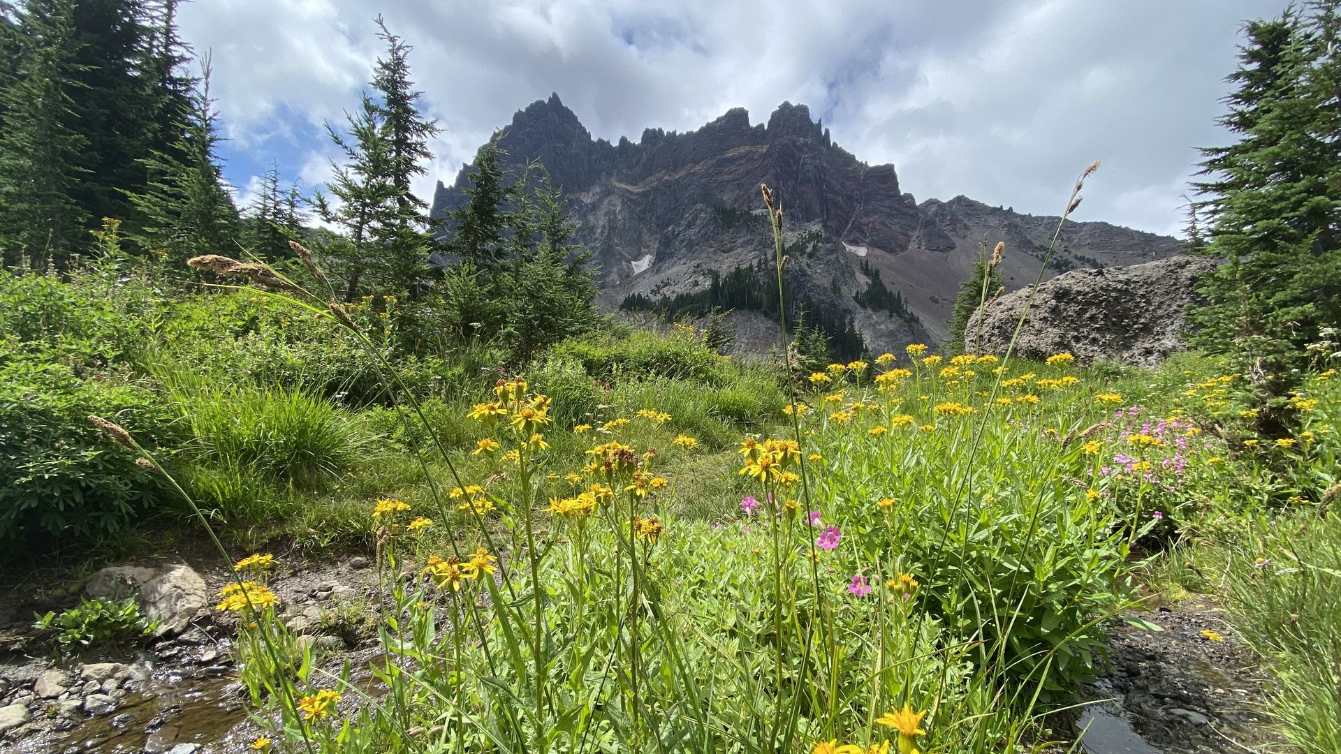 Wildflower meadow with yellow and pink flowers beside a small stream, surrounded by green trees, under a cloudy sky with jagged mountain peaks in the background.