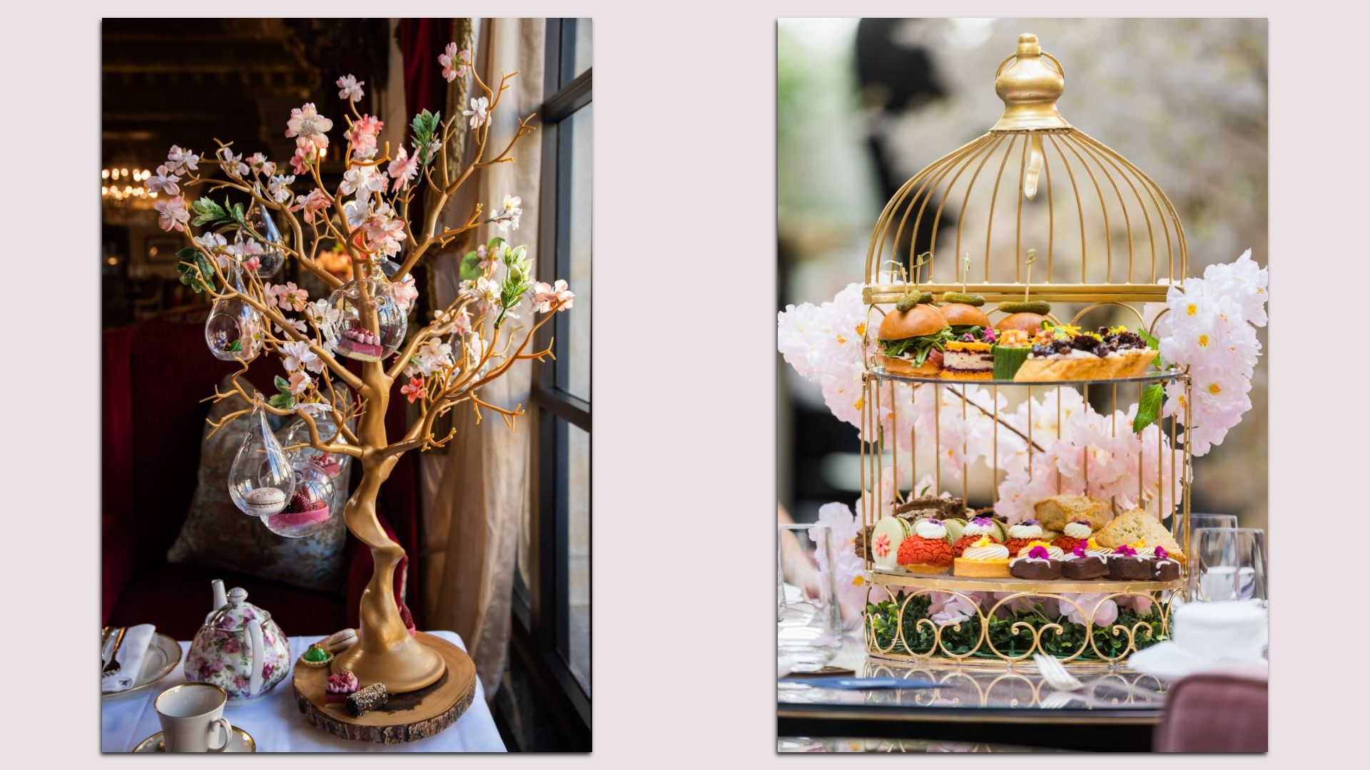 Best cherry blossom afternoon tea in DC for 2026 - Axios