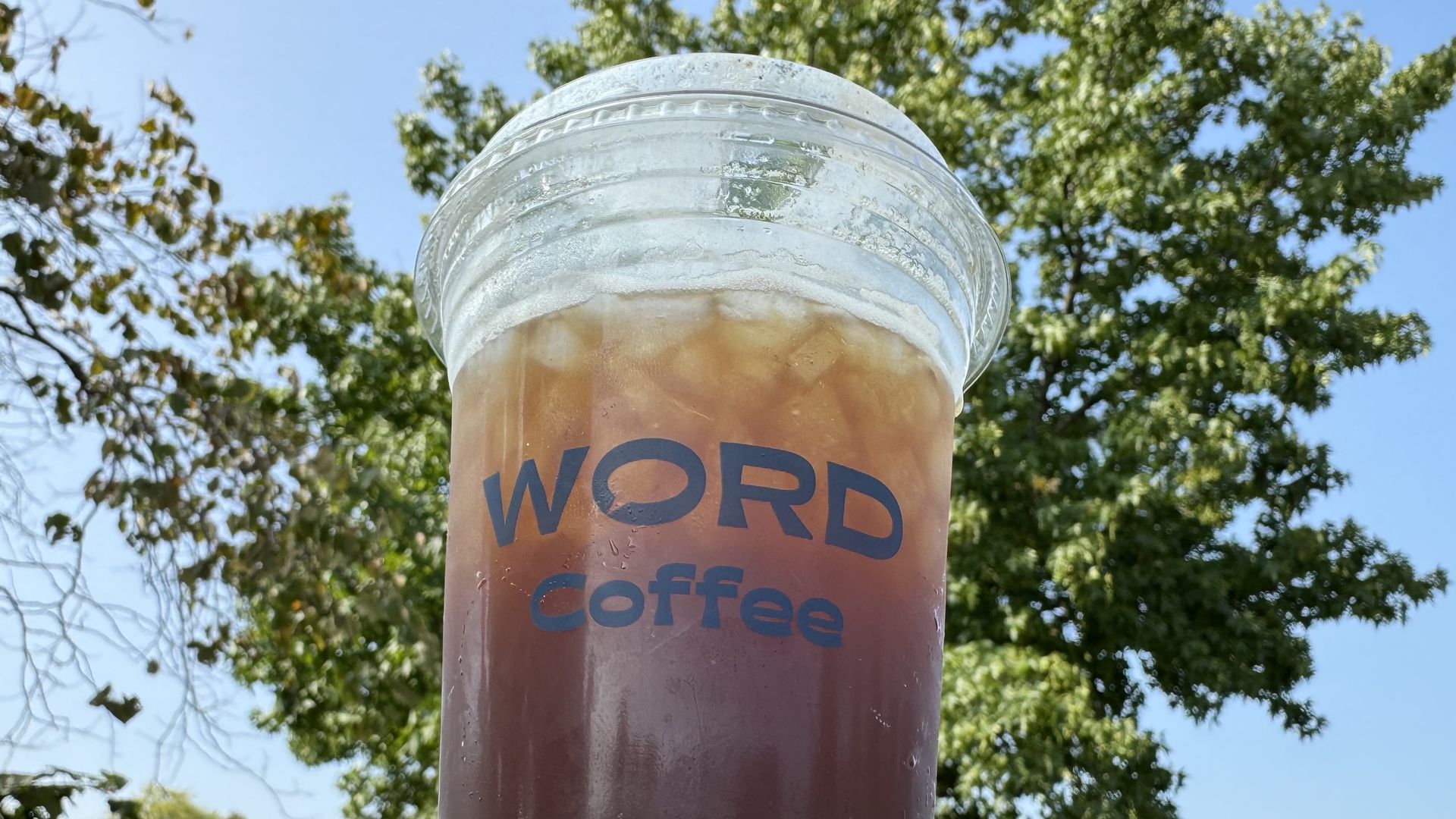 A photo of a cold coffee drink held up high in a clear cup with a tree canopy in the background. 