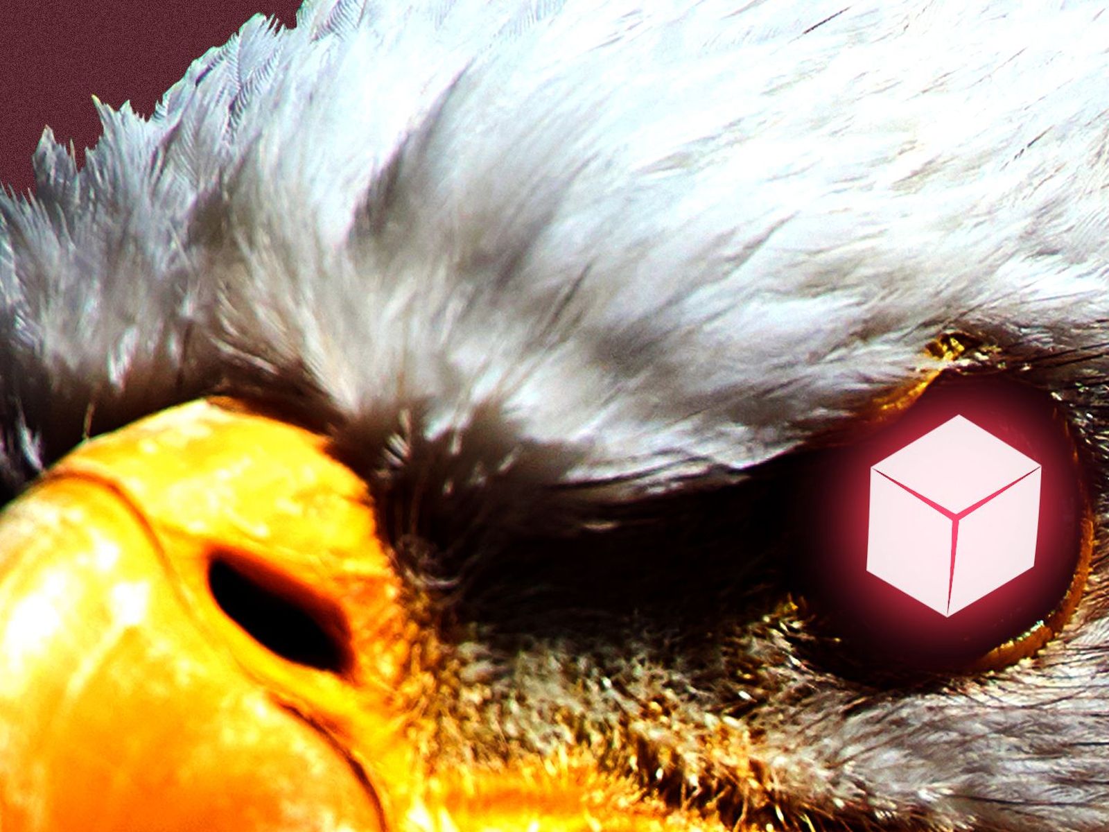 The SEC gives crypto a fresh scare