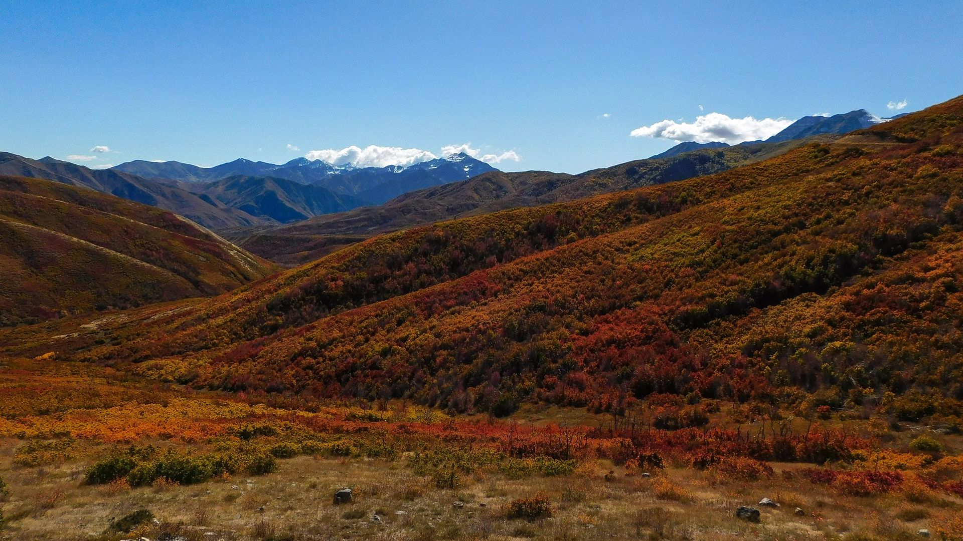 Foliage appears red and orange in foothills backed by snow-capped mountain peaks. 