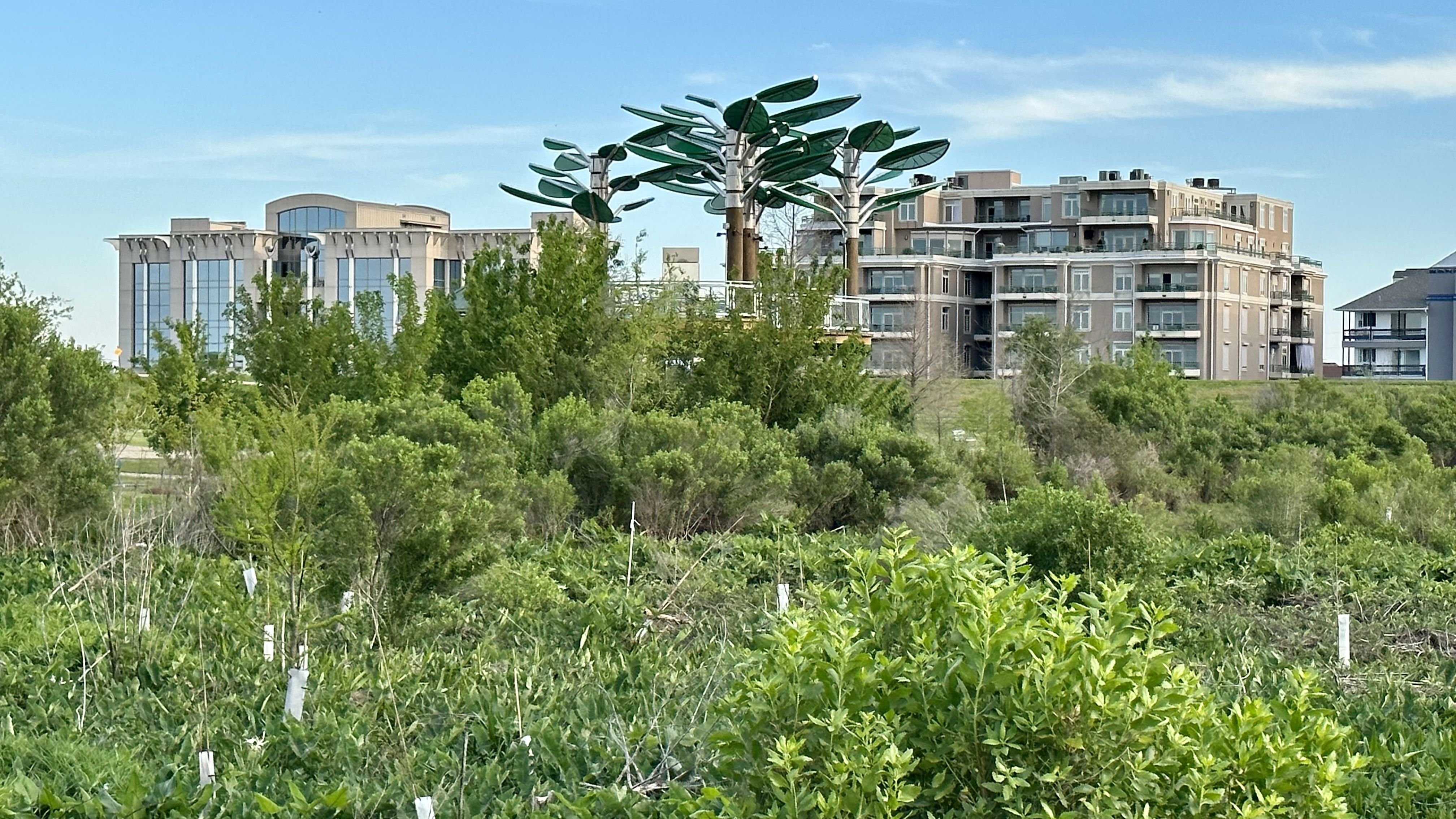Photo shows the Bird's Nest Learning Pavilion with the marsh in the foreground.