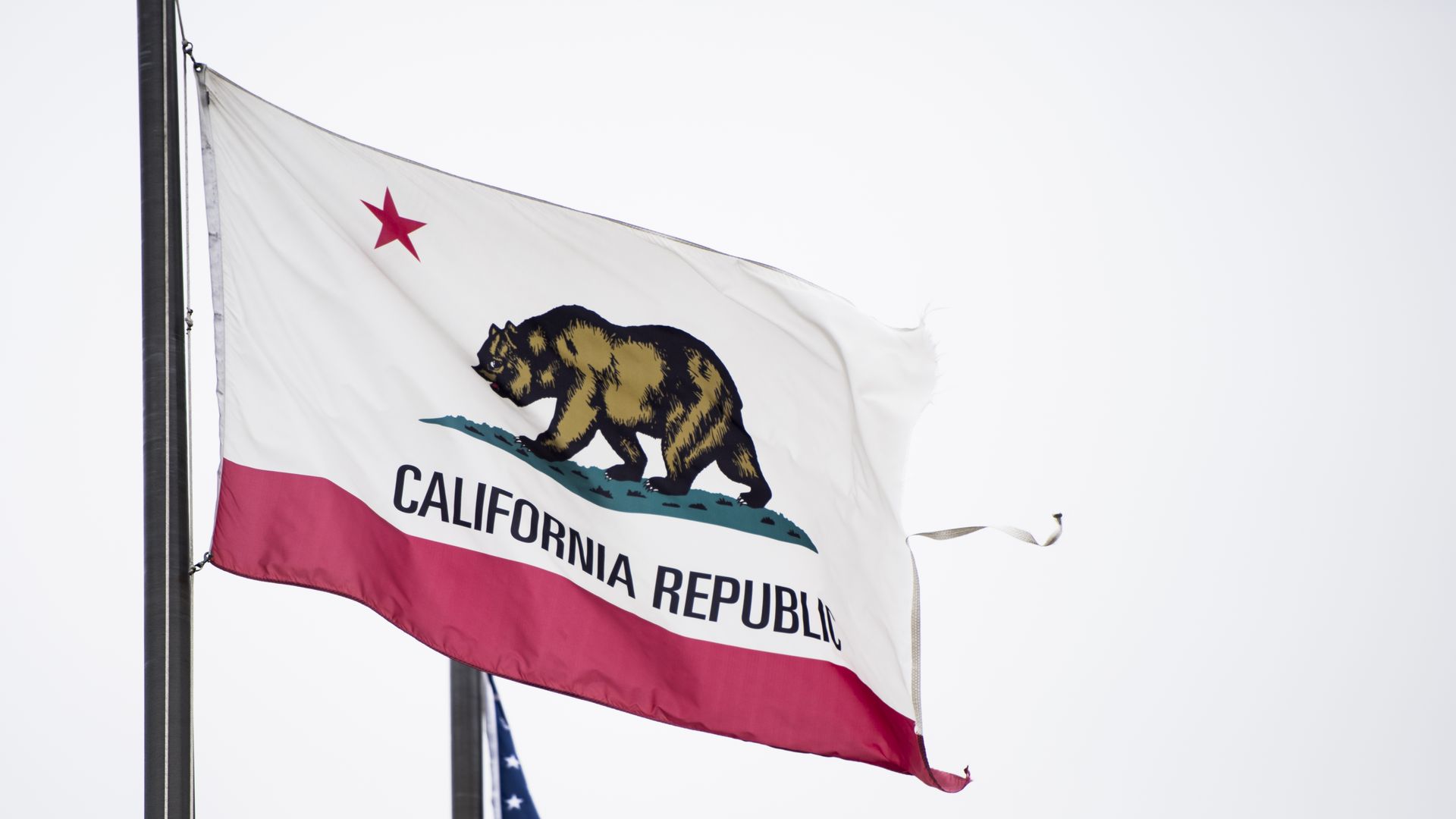 Photo of a California state flag flying on a pole next to the American flag