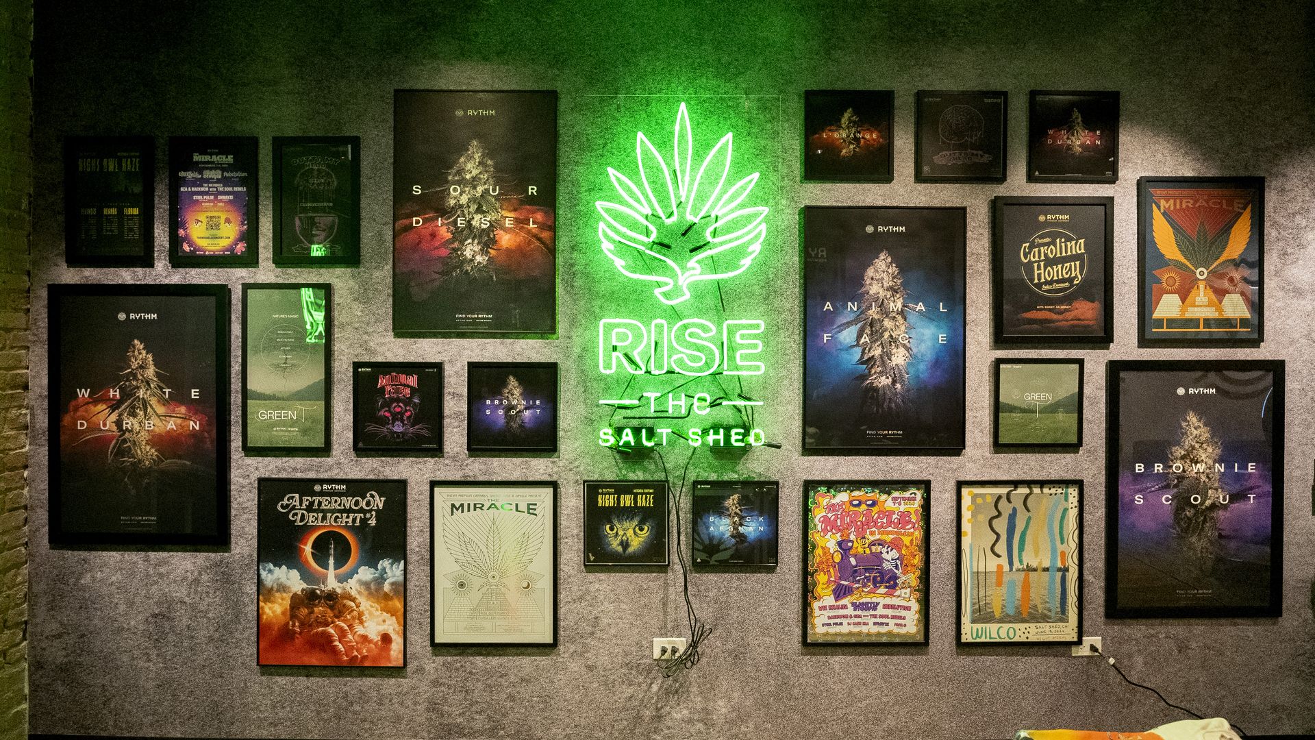 Photo of a wall adoring album covers and a neon sign that says "Rise The Salt Shed" 