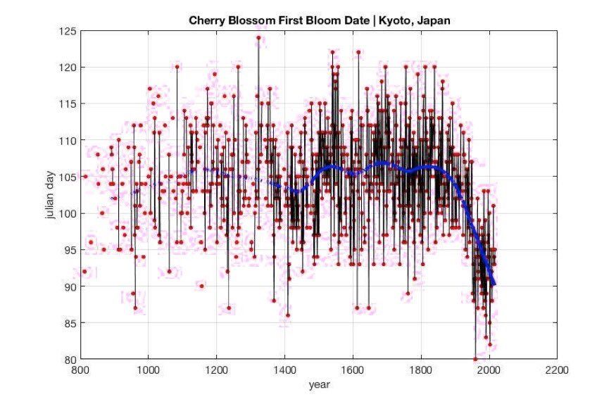  Cherry blossom times each year, Kyoto, Japan, 800 A.D. to present day. 