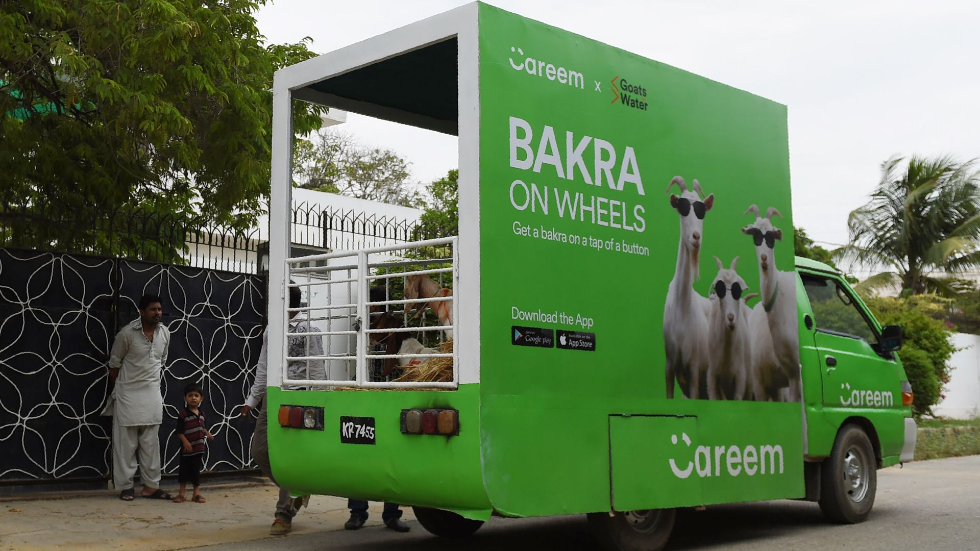 Careem's cab service 'Bakra on wheels' transports goats in a green truck with an open back.