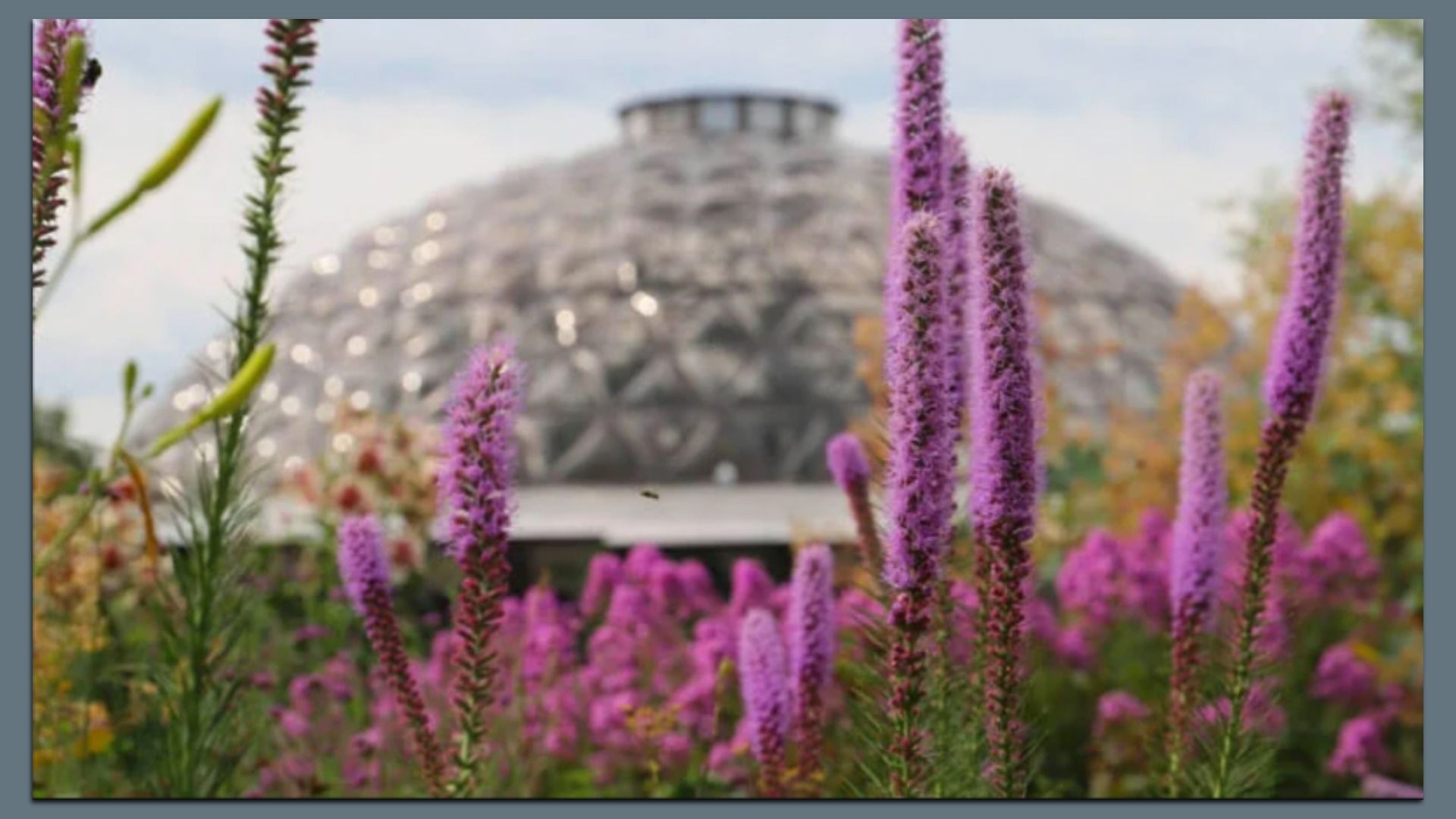 A photo of the Greater Des Moines Botanical Garden.